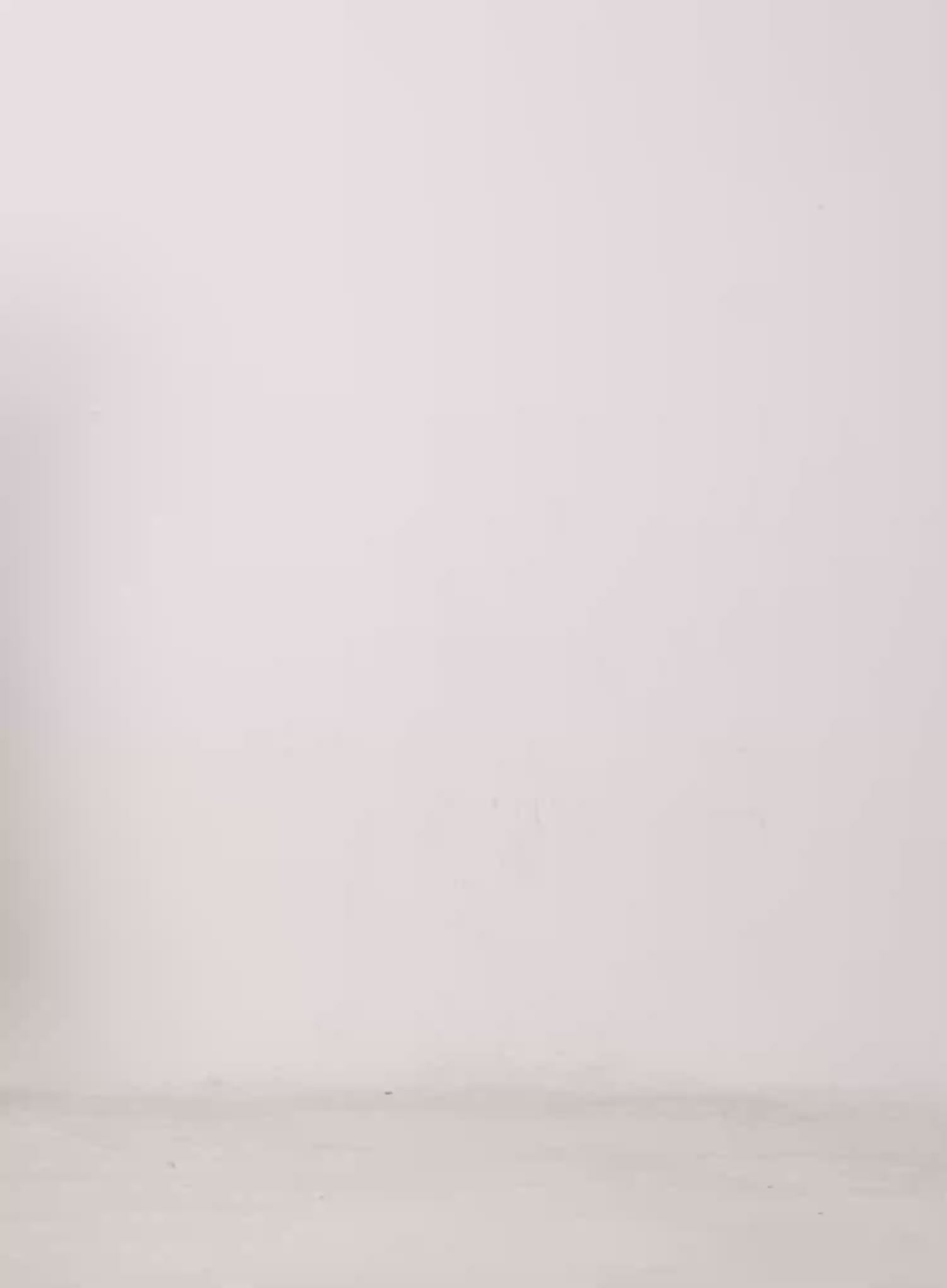 Paisley Lace Cami Top CU518