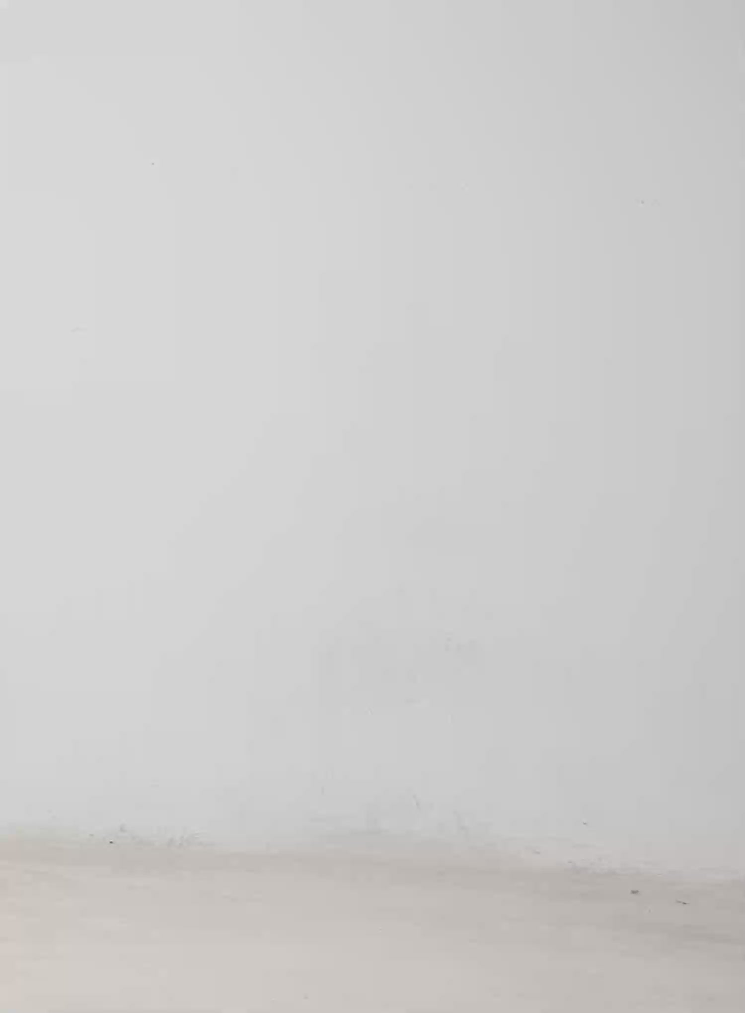 Athe Wide Stripe Jeans CA506