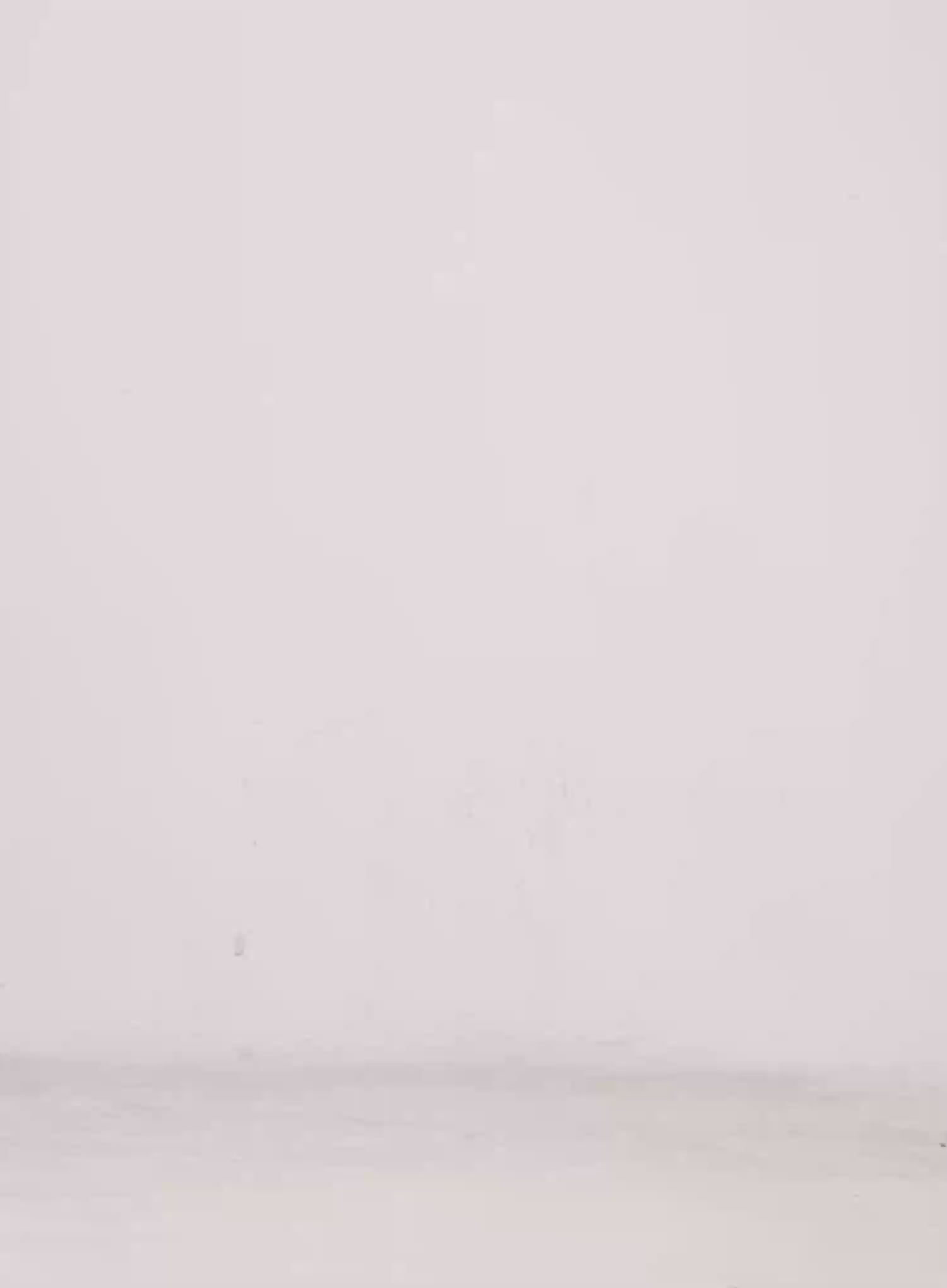 Lightweight Scoop-Neck Tank CL502