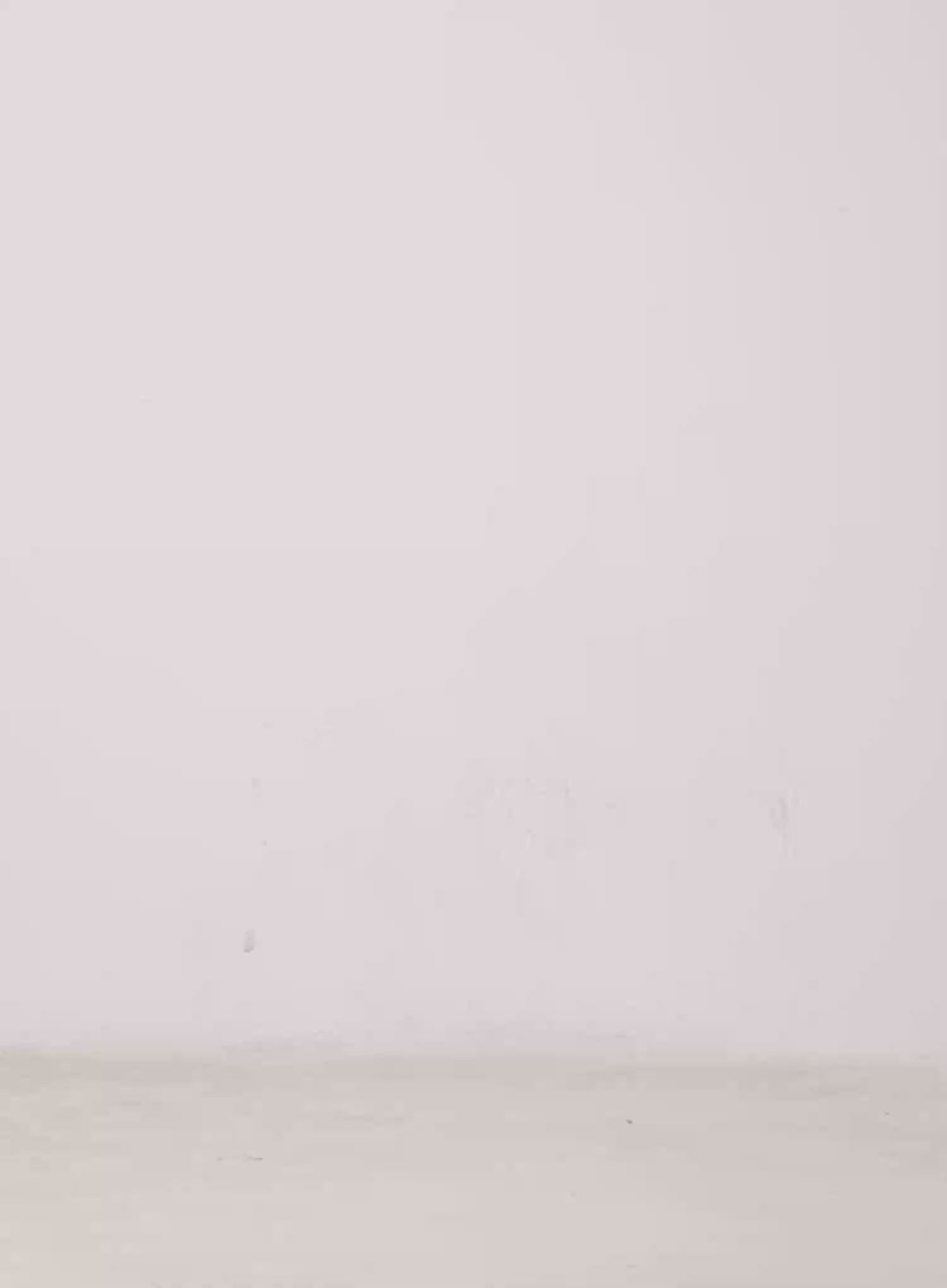 Layered Flounce Mini Skirt IG528