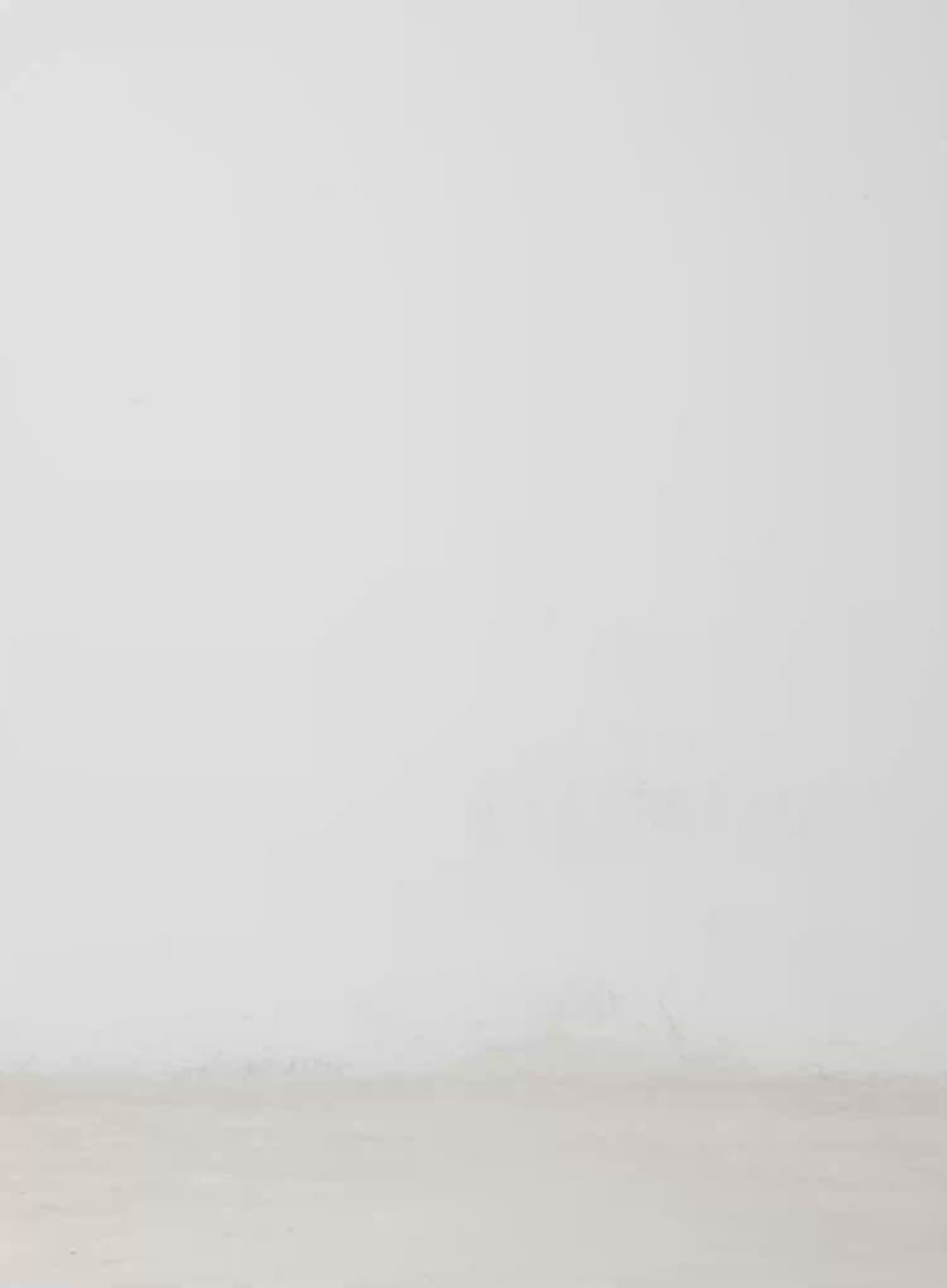 Jianna Flared Bootcut Jeans IM513