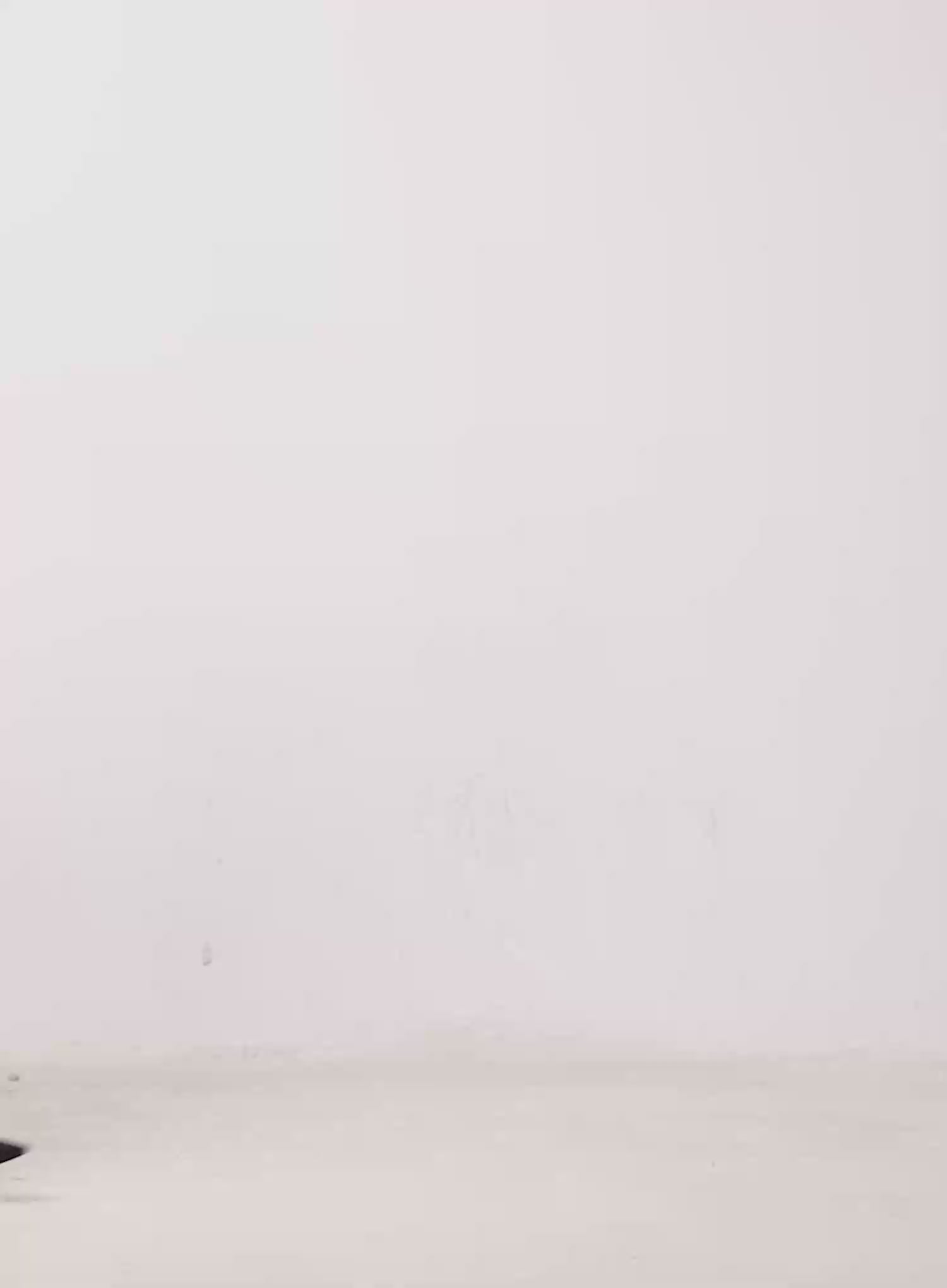 Pattern Print Belt IJ509