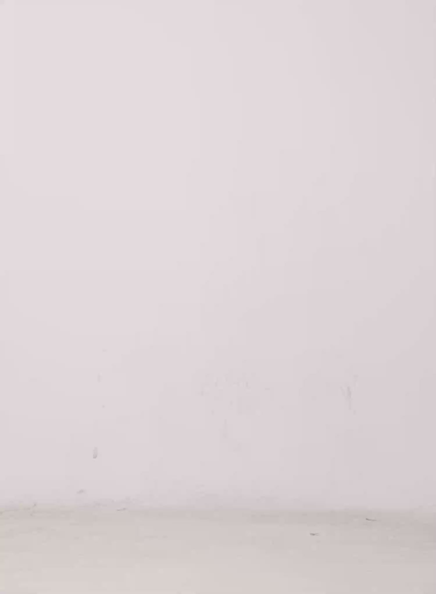 Cowl Neck Top Bolero Set IS508