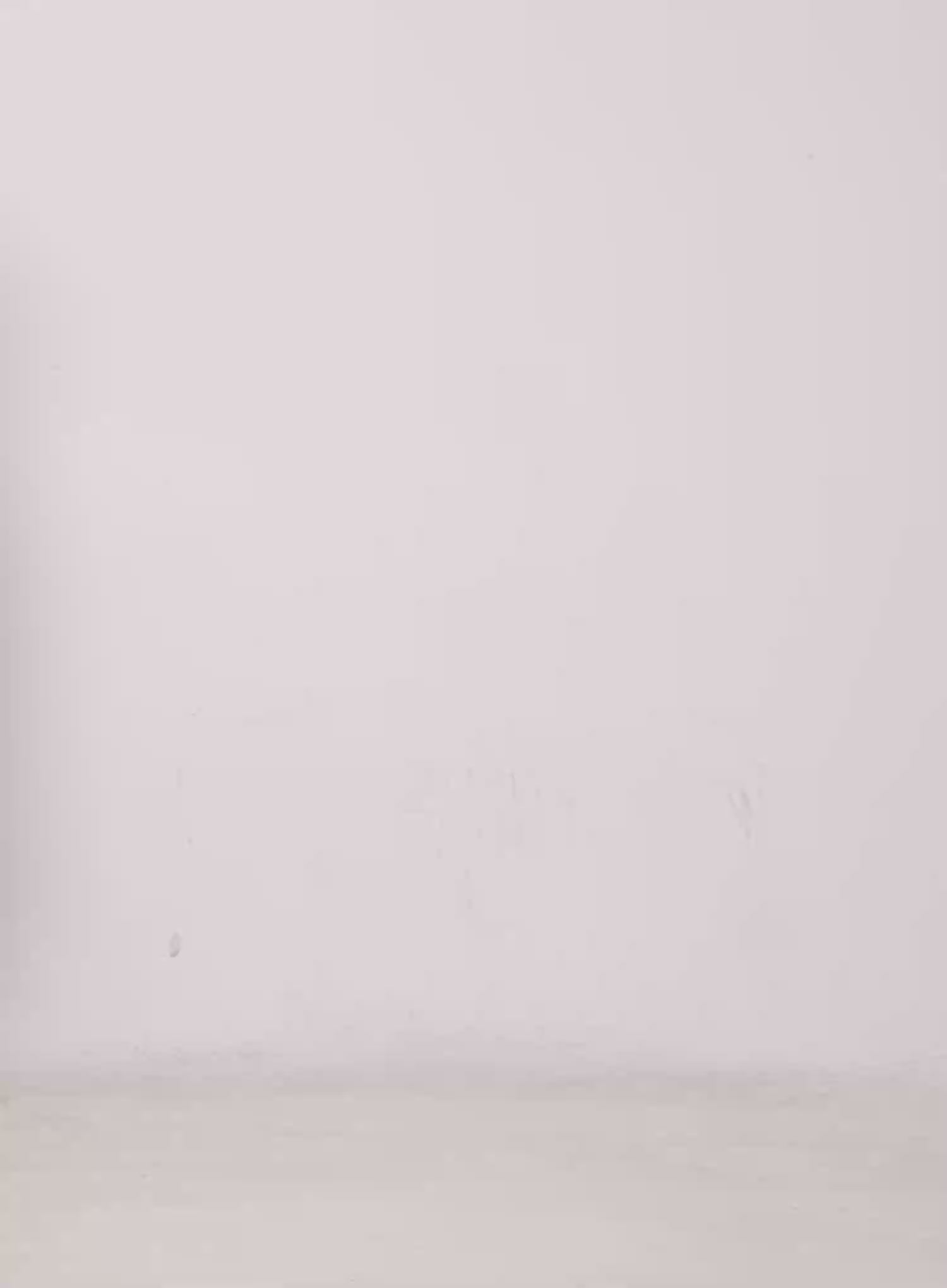 Kpop Teddy Pendant Chain Necklace CG529