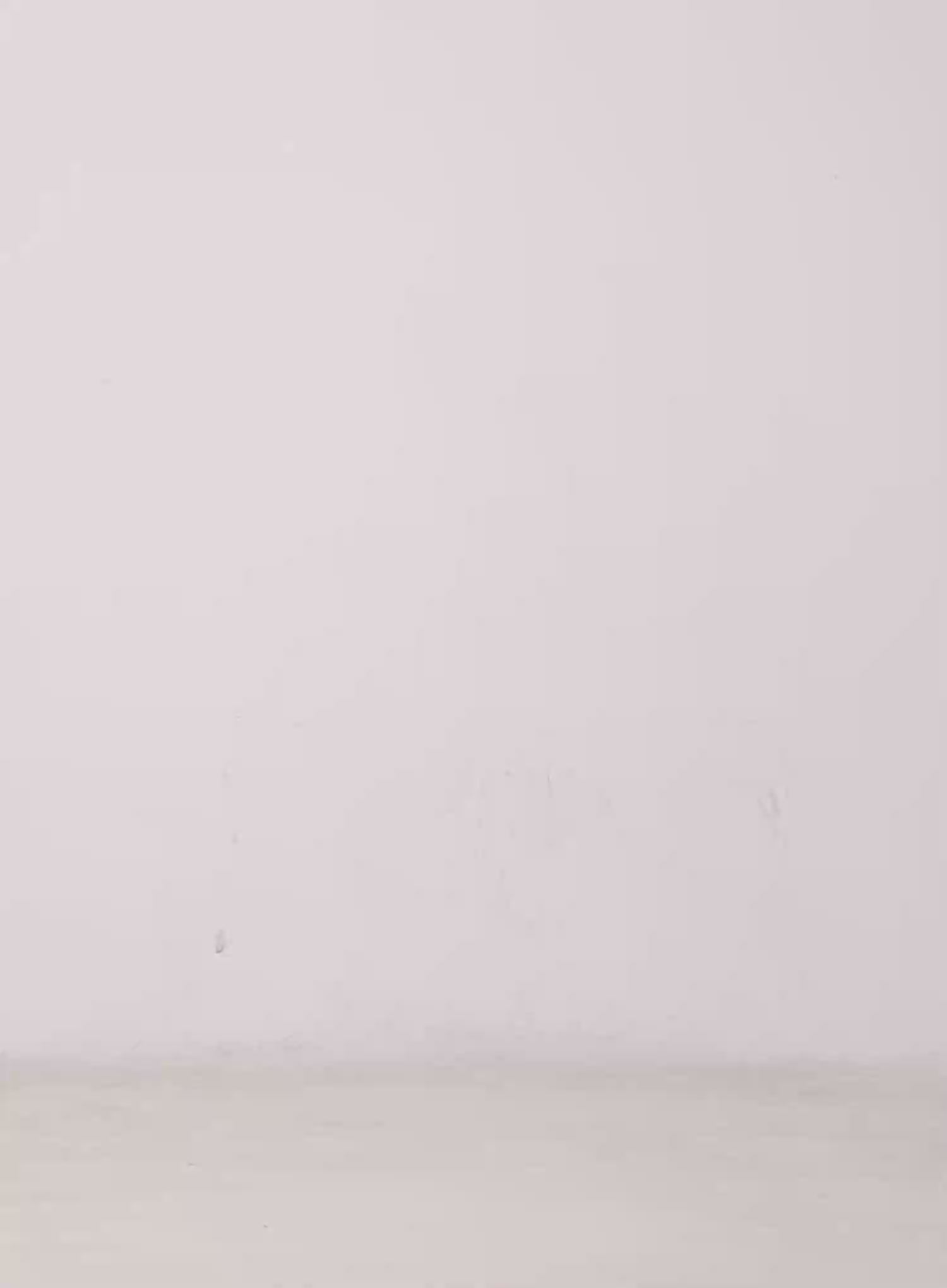 Ruby Frill Mini Skort CG529