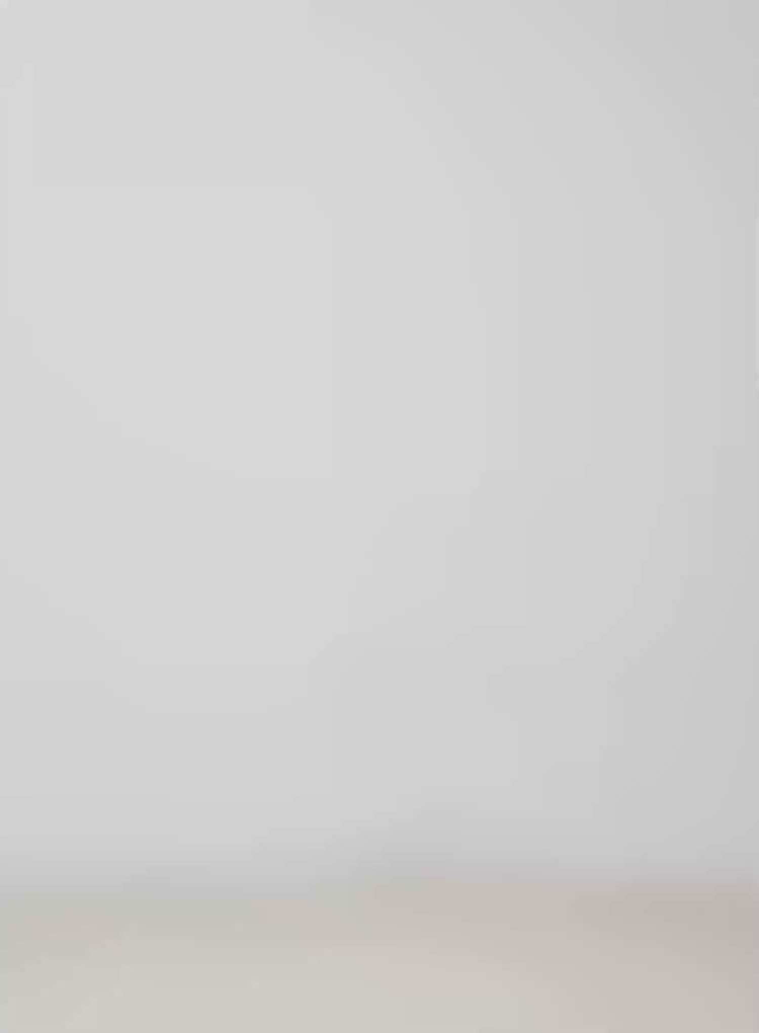 Zaza Bootcut Light Washed Jeans IM524