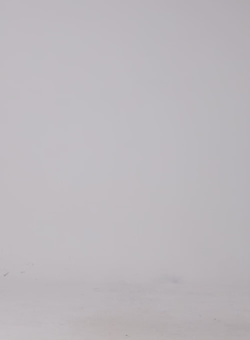 Animal Print Ruffle Hem Mini Skirt OJ417