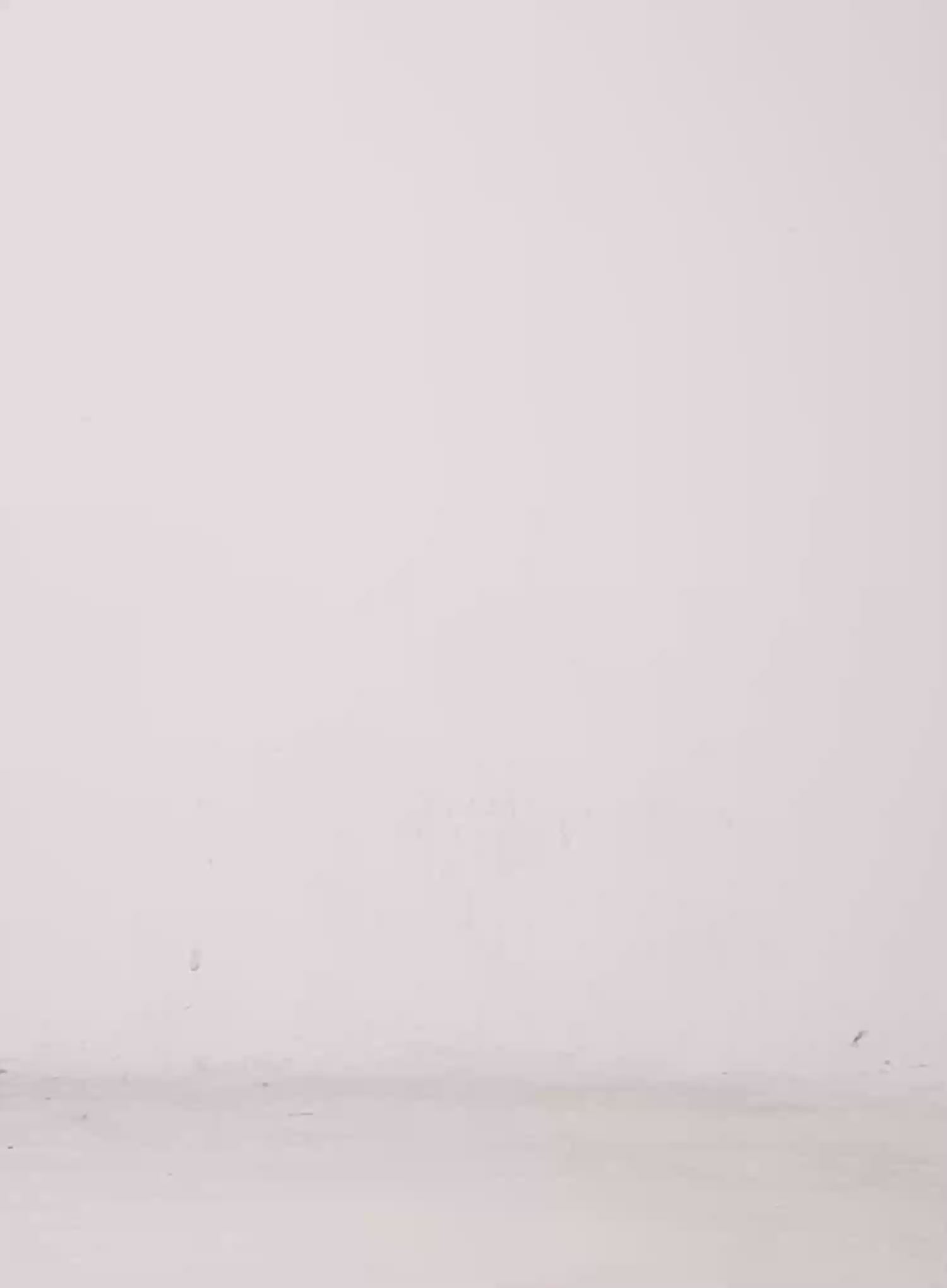 Edgy Eyelet Tank Top IG508