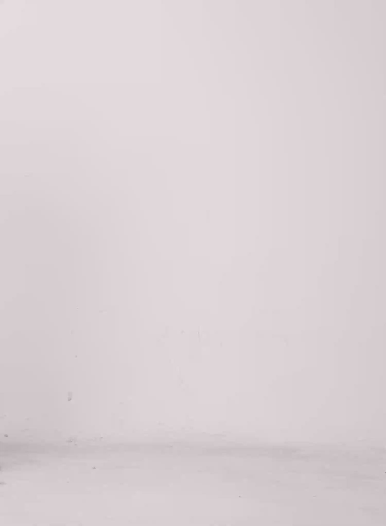 U-Neck Knit Tank IL528