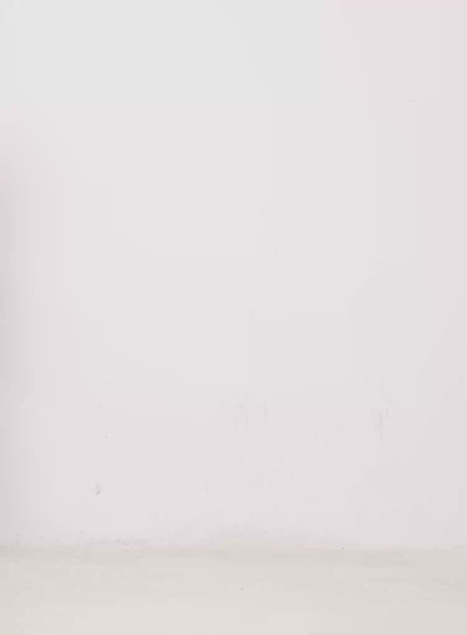 Off-Shoulder V-Neck Top IN503