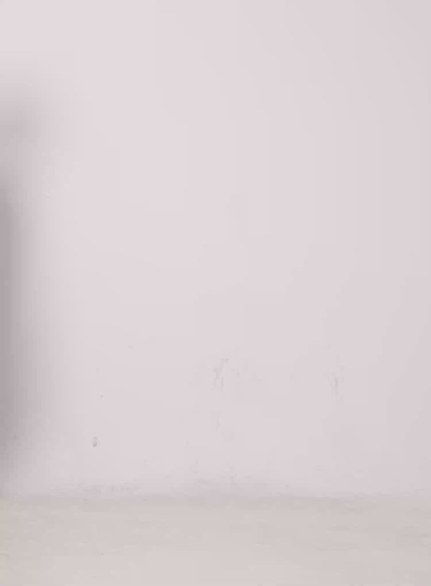 ZigZag Pattern Backpack IS529