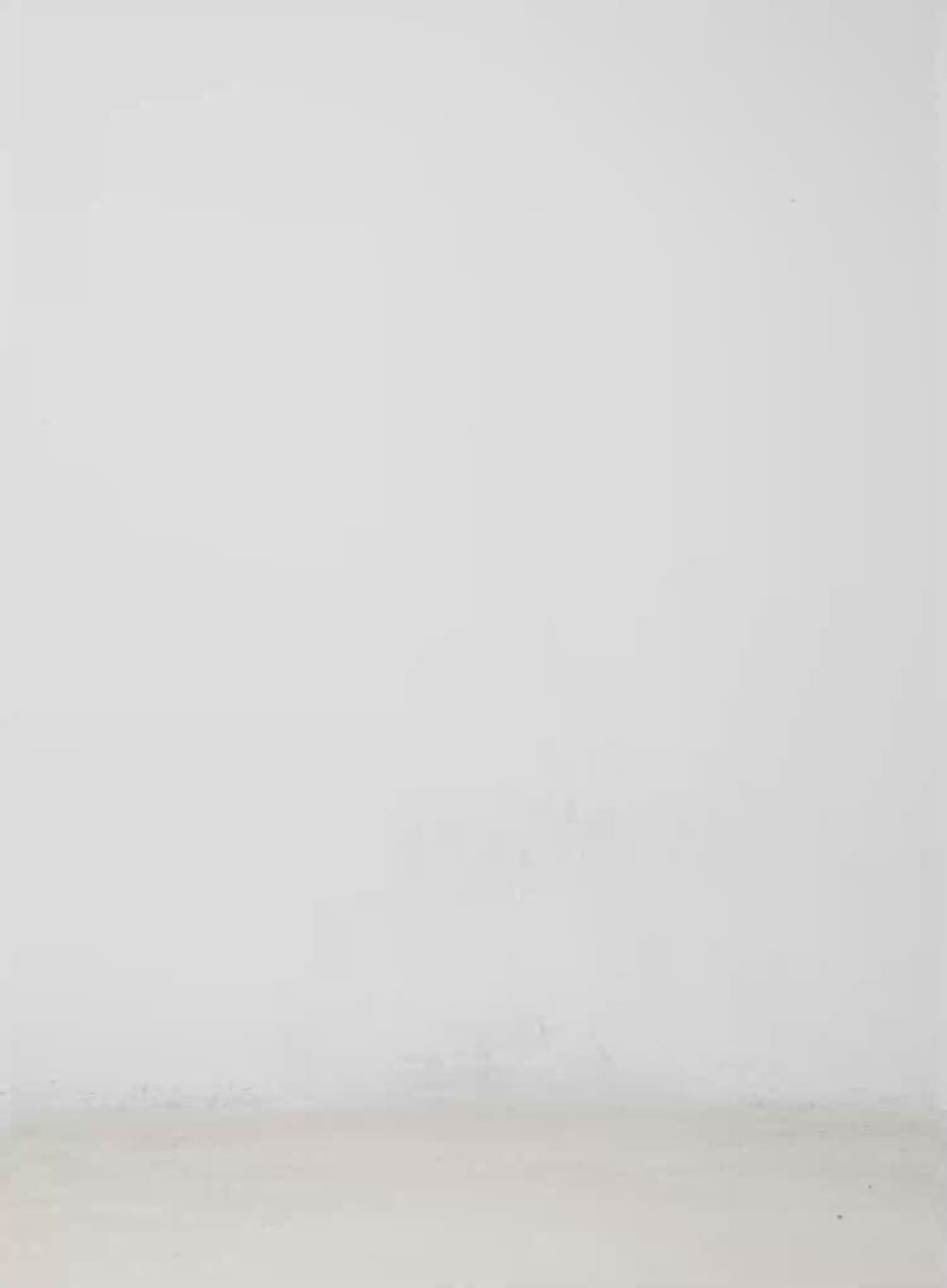 Bootcut Summer Pants IM524