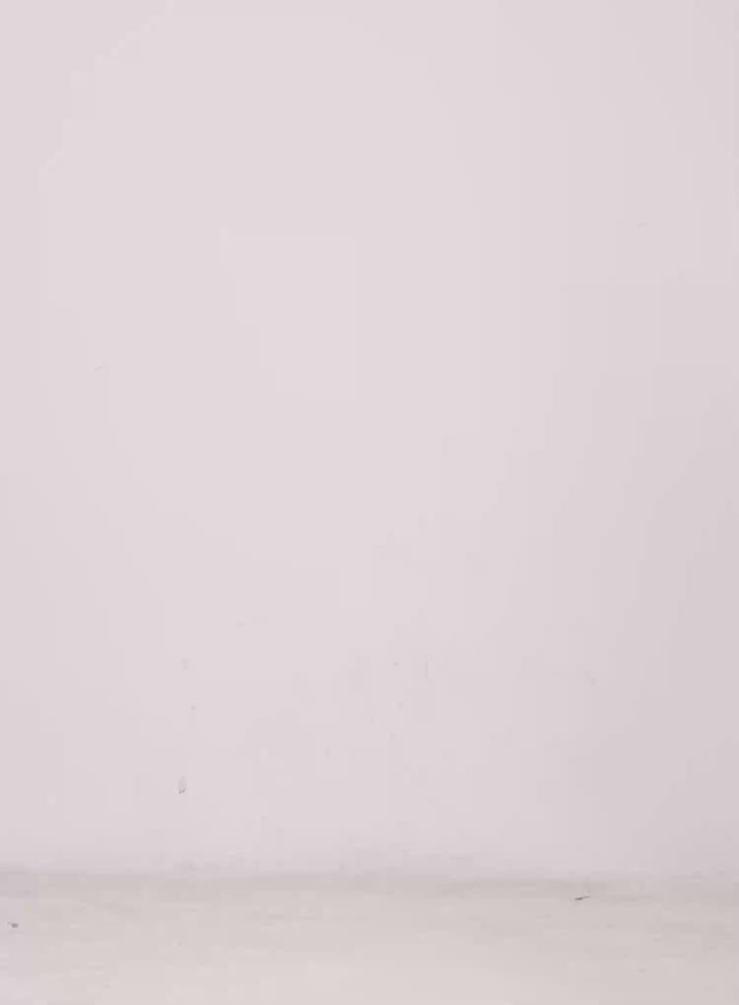 Men's Virginia Embroidered Baseball Cap IL514