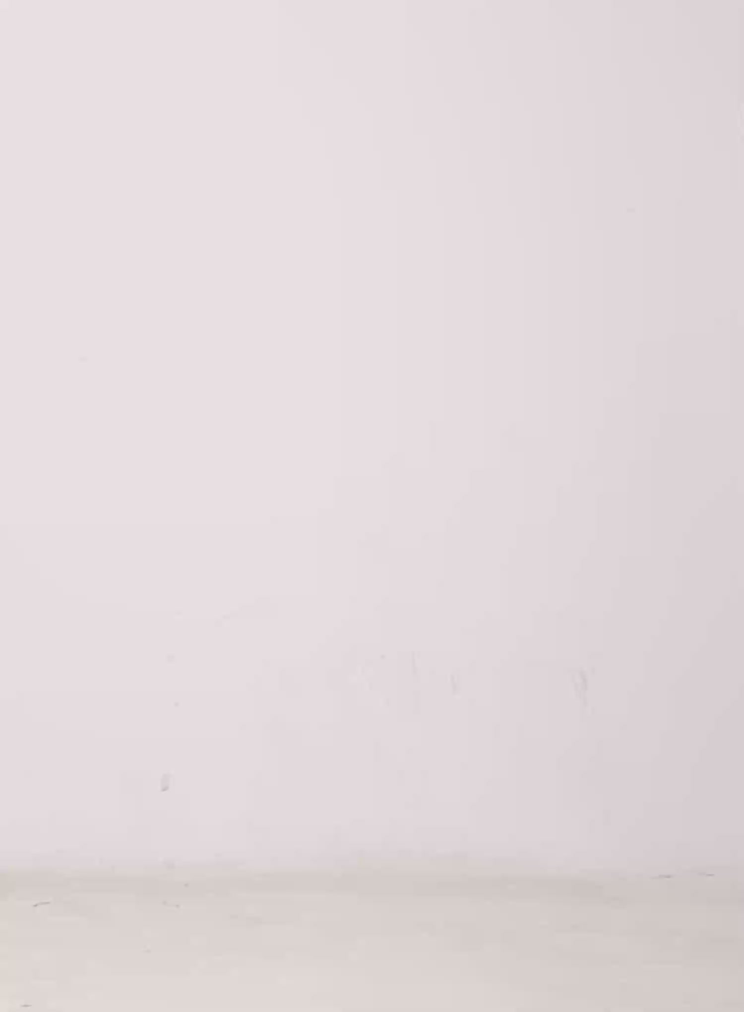 Men's Statement Necklace IG508