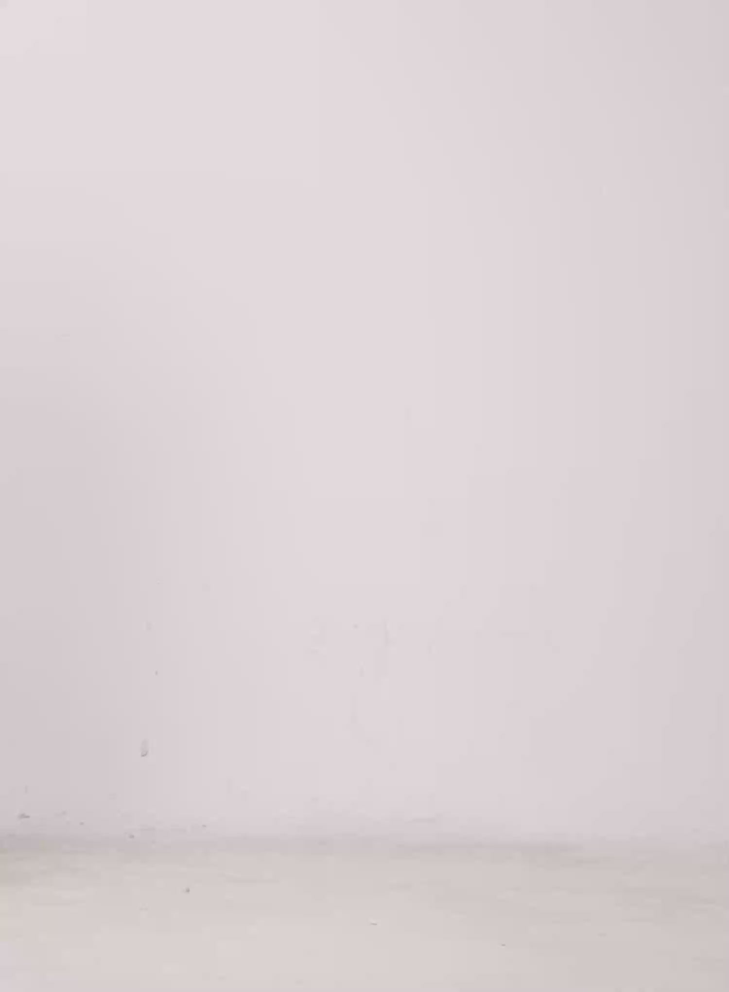 Pleated Pintuck Shorts IL528