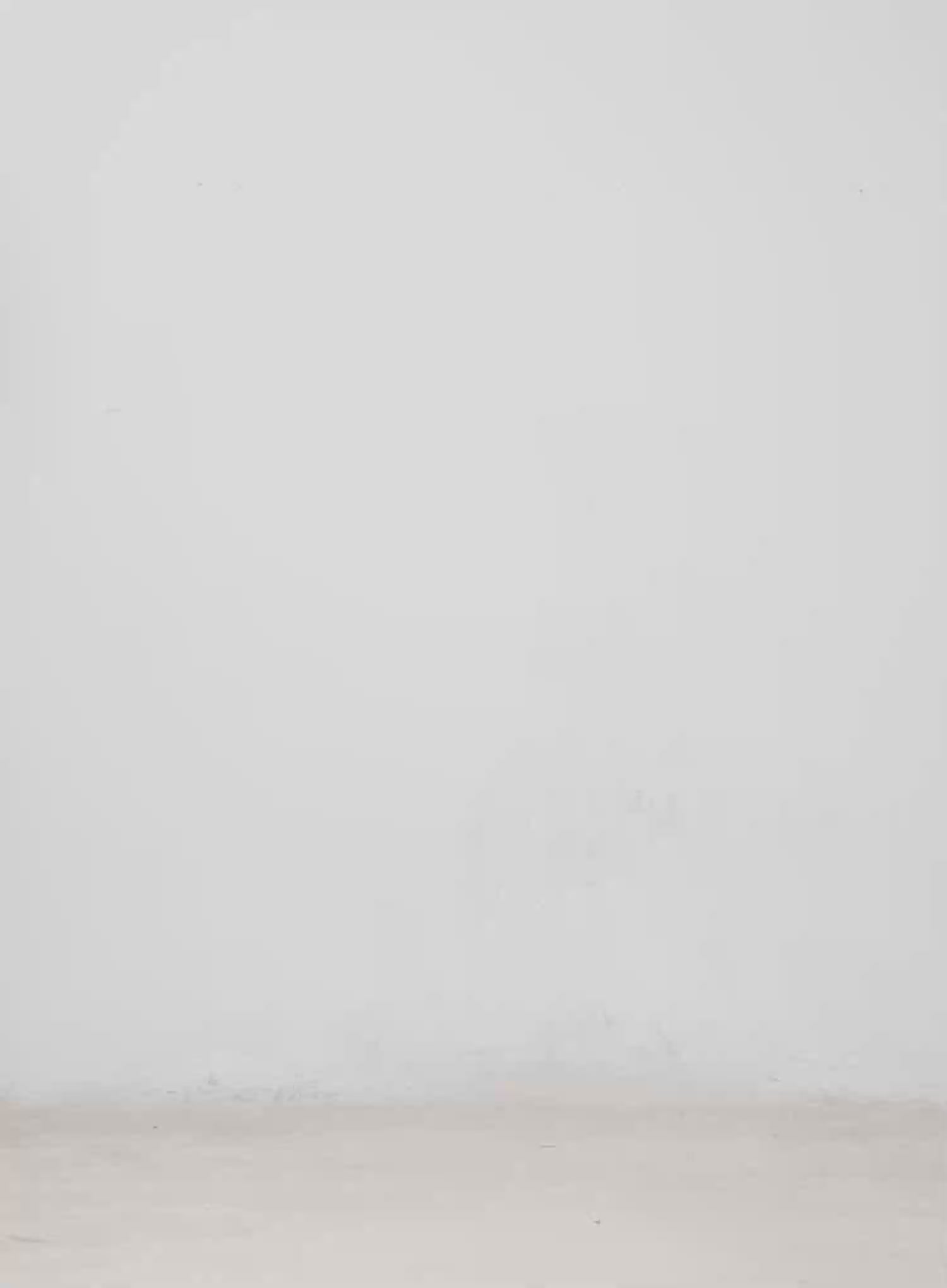 Relaxed-Fit Stitched Cargo Pants CM526