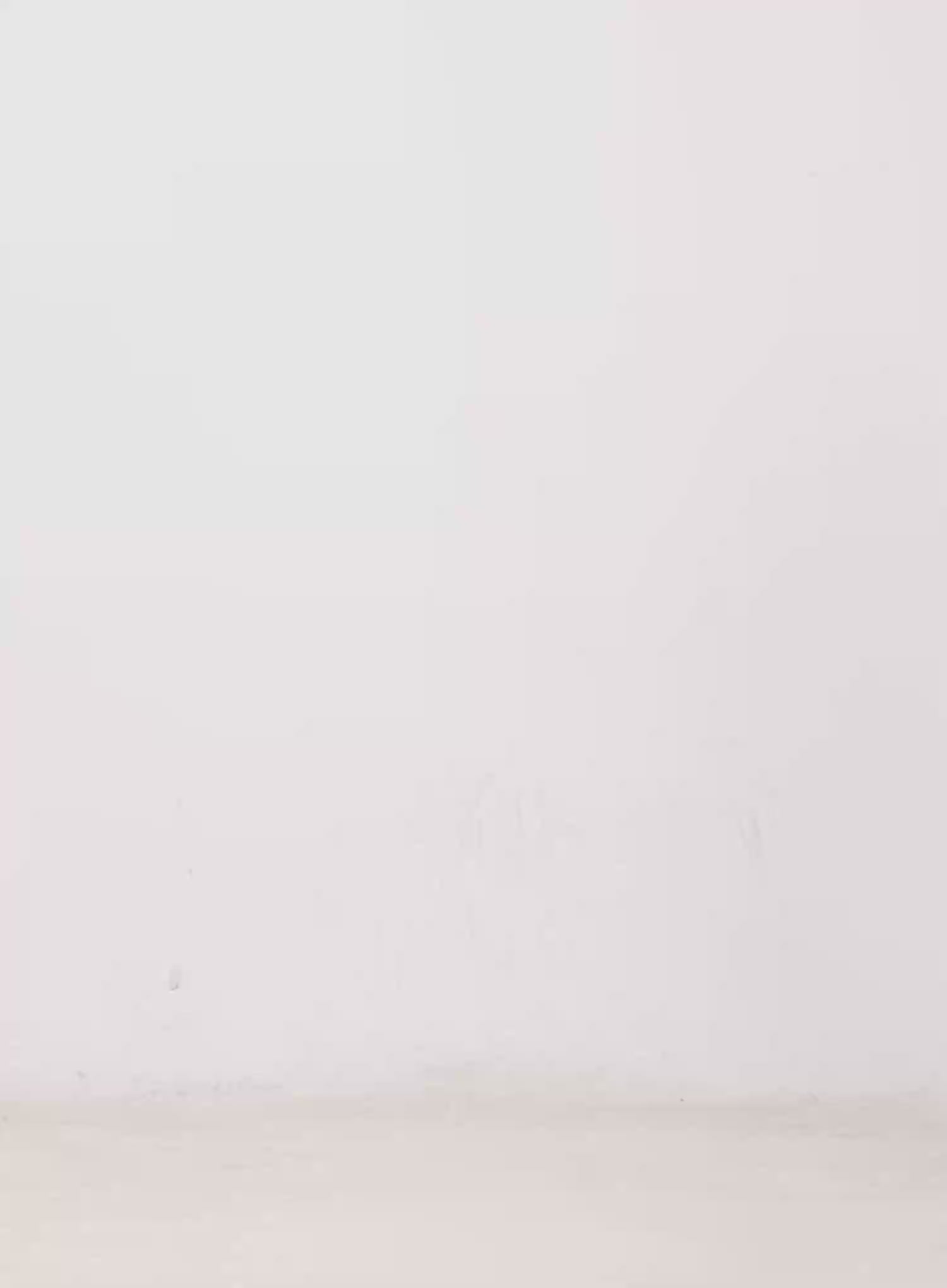 Lucky Fleece Zip Hoodie IN514