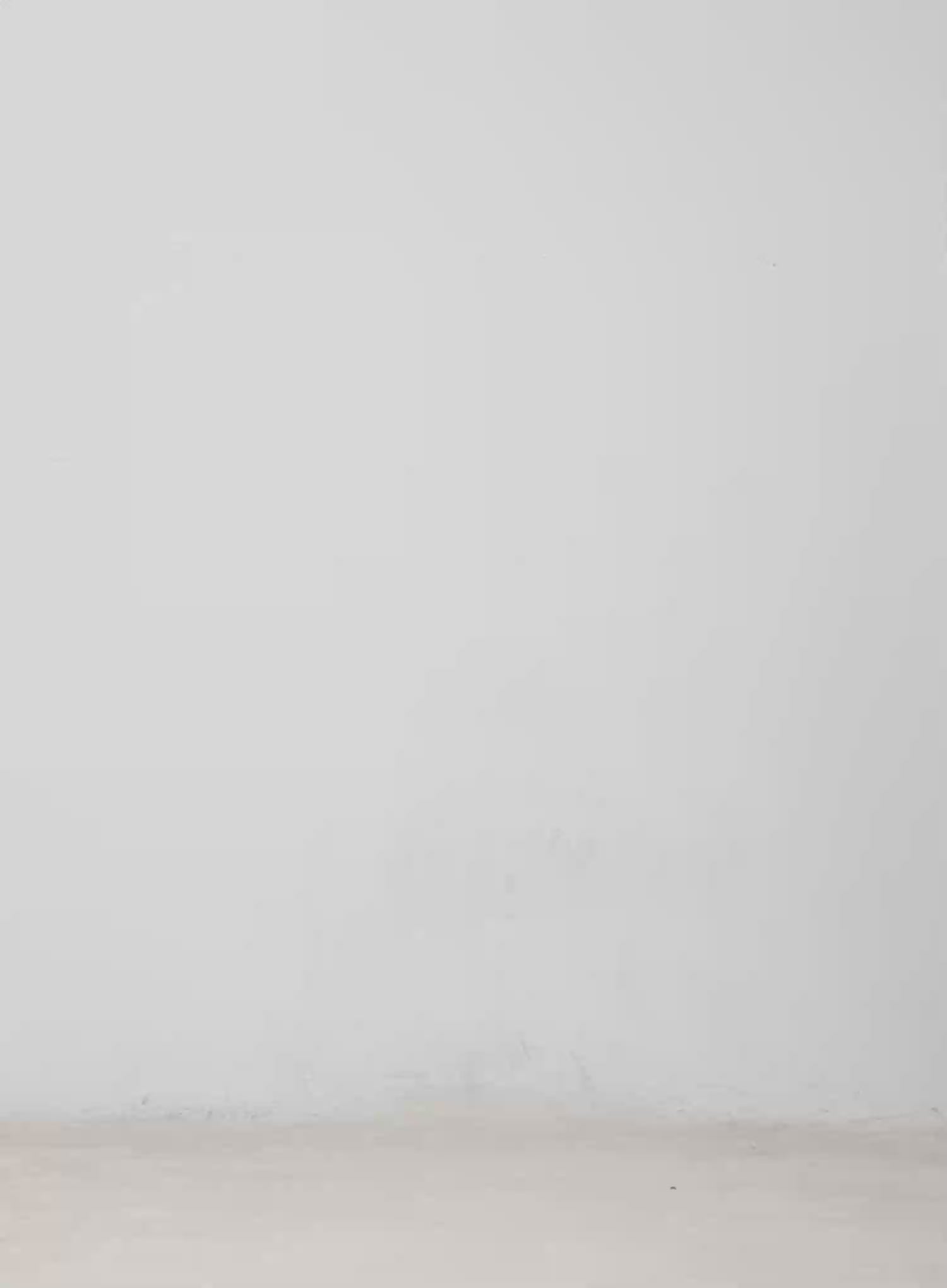 Asymmetric Pleated Mini Skirt CM513