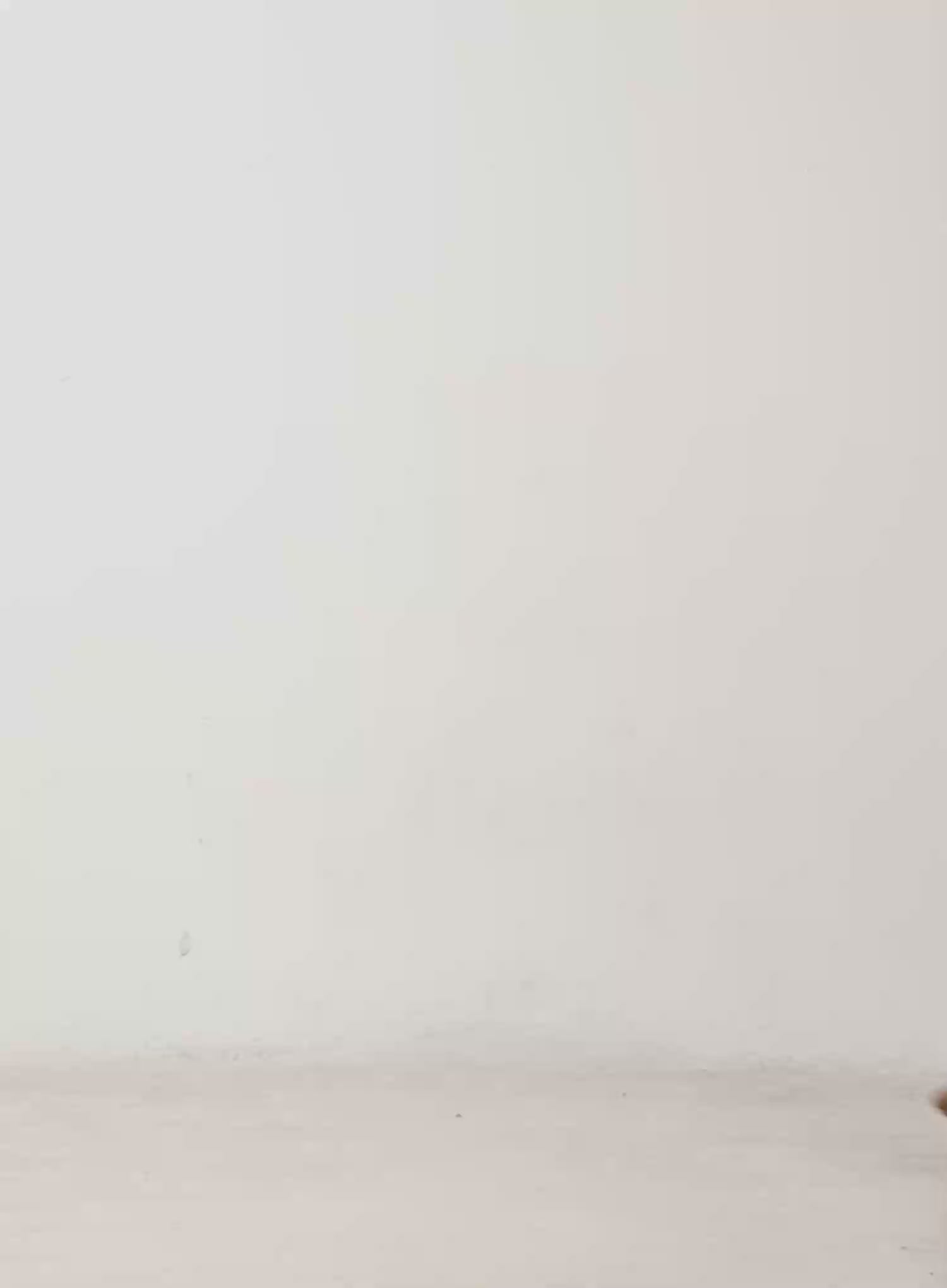 Oversized Leopard Print Sherpa Jacket CD515