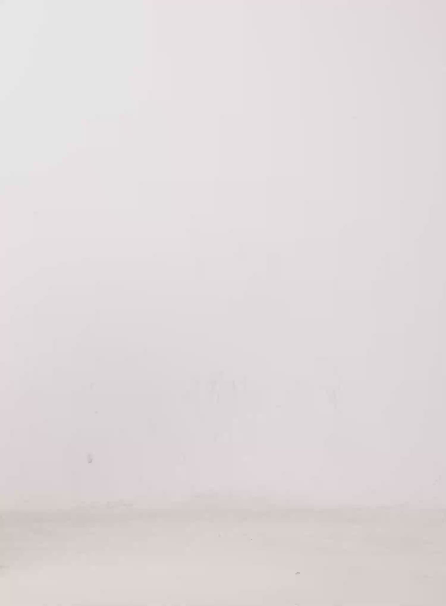 Low Rise Shorts IJ509