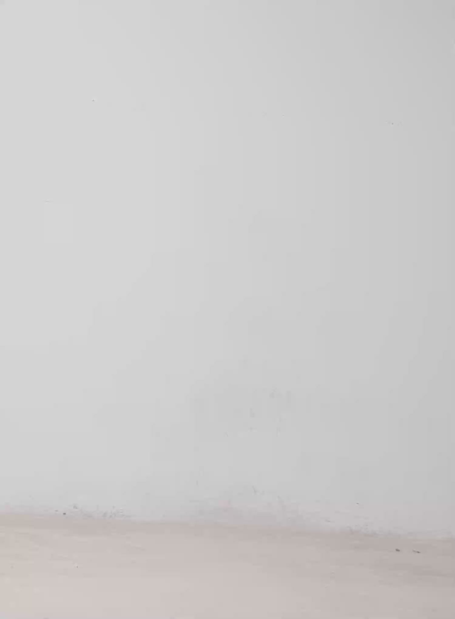 Winged Graphic Rib Tank Top CA506