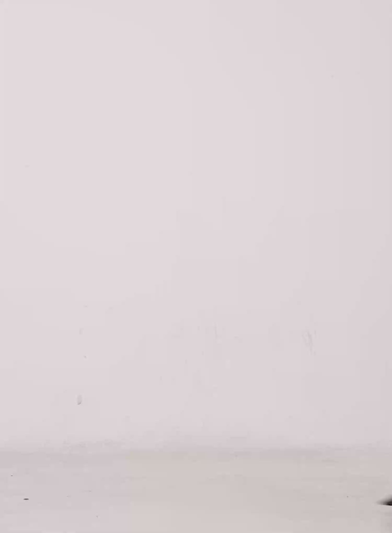 Casual Oversized Graphic Banding Sweatshirt CS509