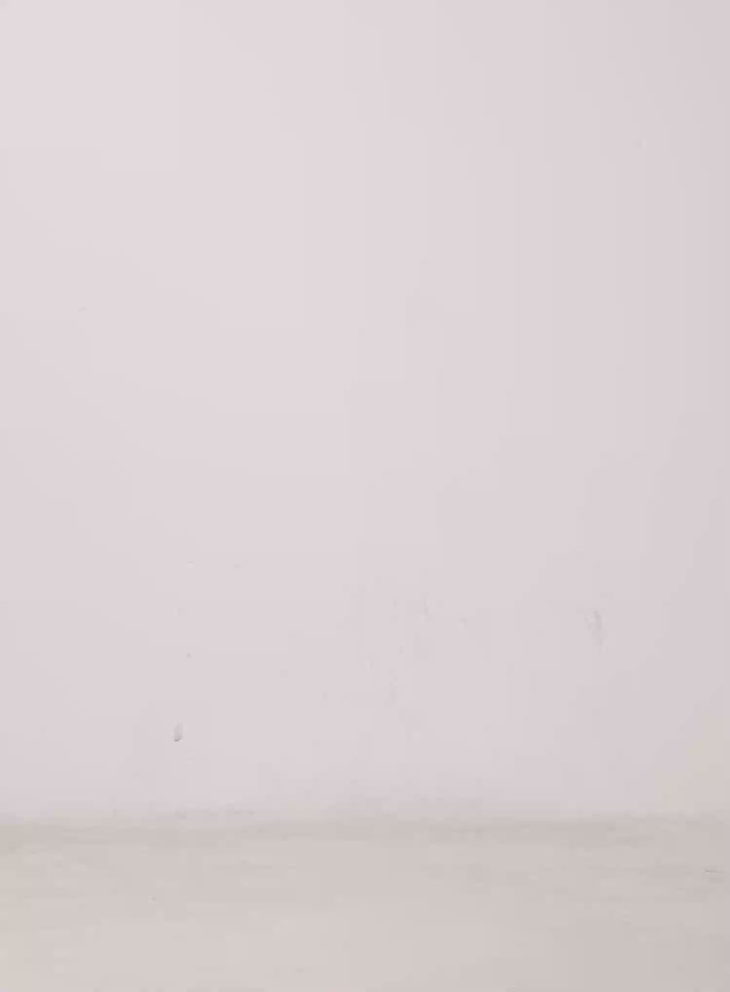 Side Button Wide Leg Pants CS517