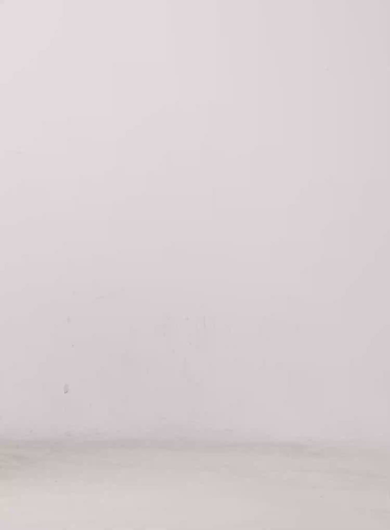 Jiyeon Dark Gray Denim Jeans CL516