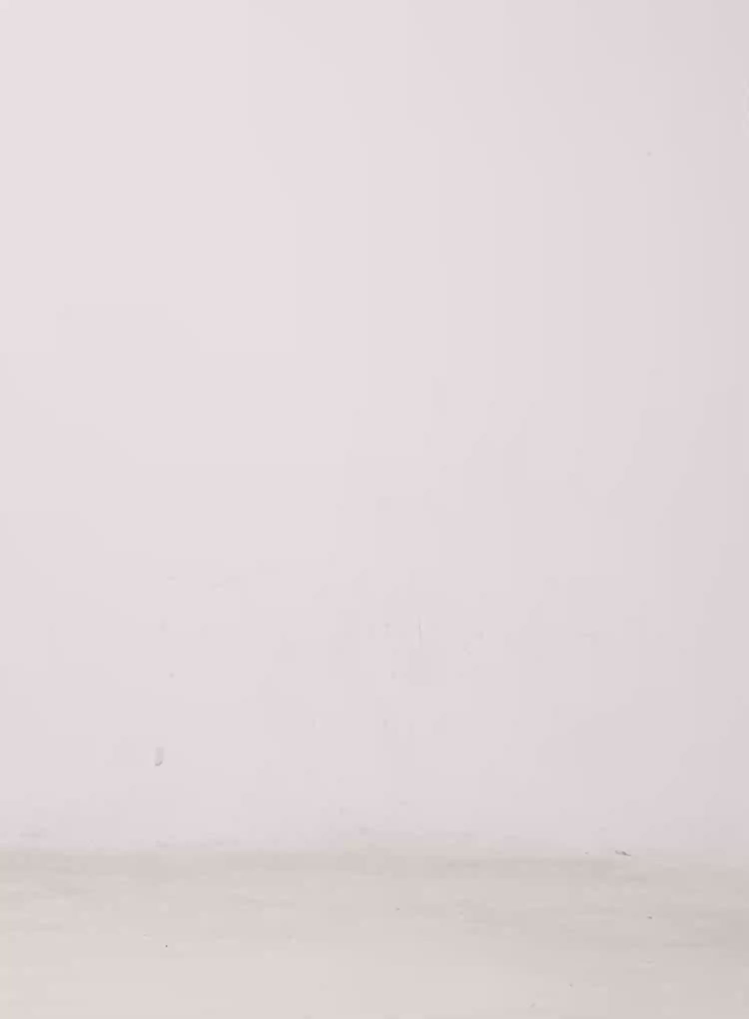 Summer Loose-Fit Long Sleeve Knit CL523