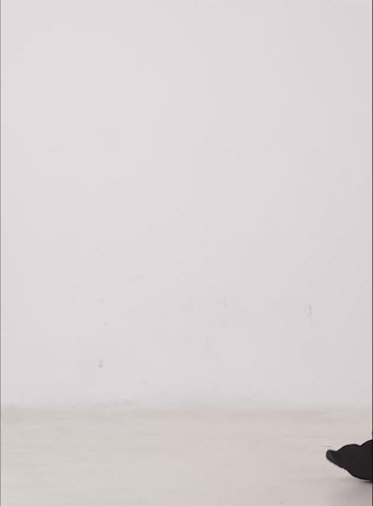 Fluffy Off-Shoulder Sweater CS502