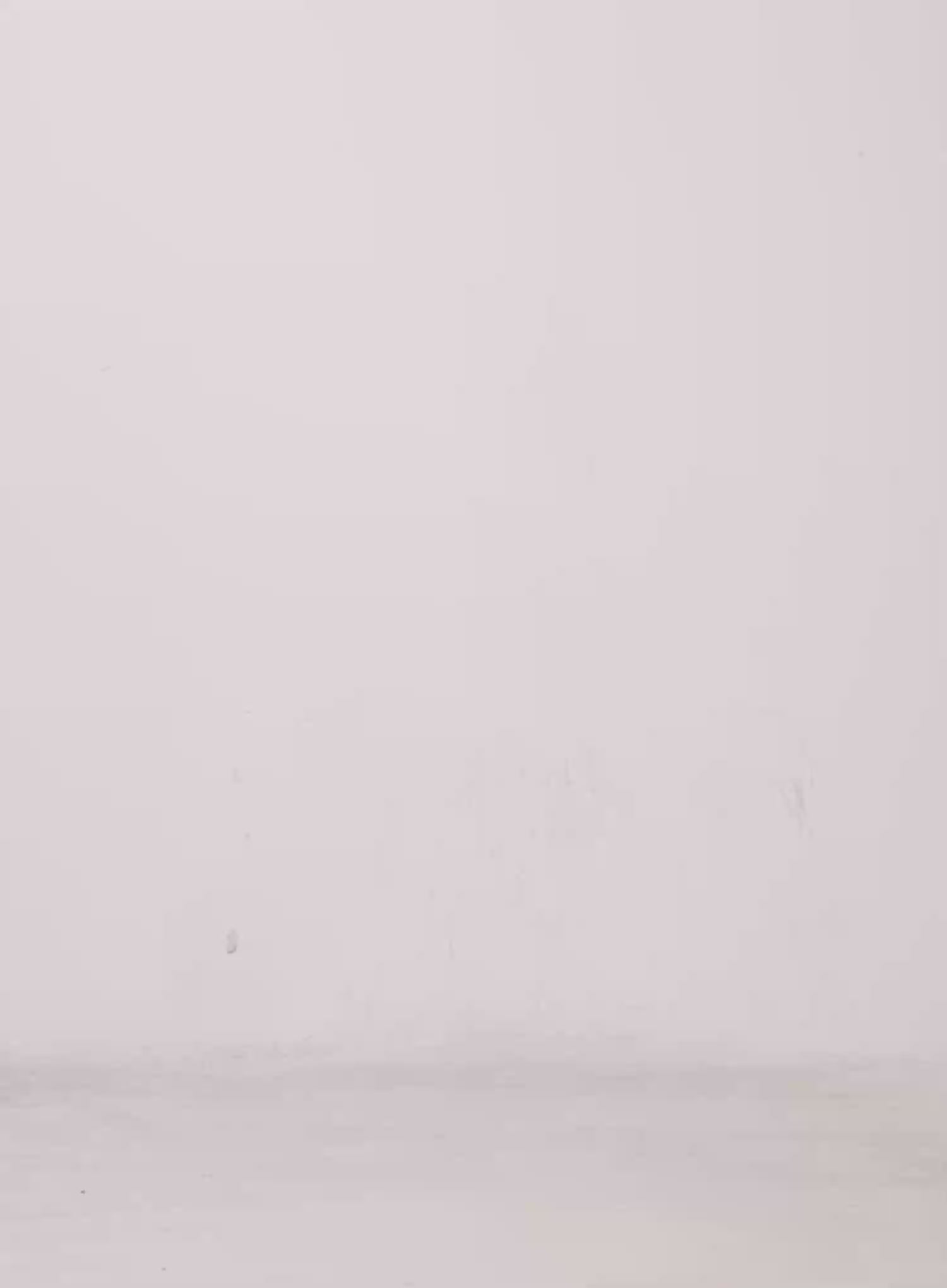 Ribbed Eyelet Slim-Fit Tank Top IS525