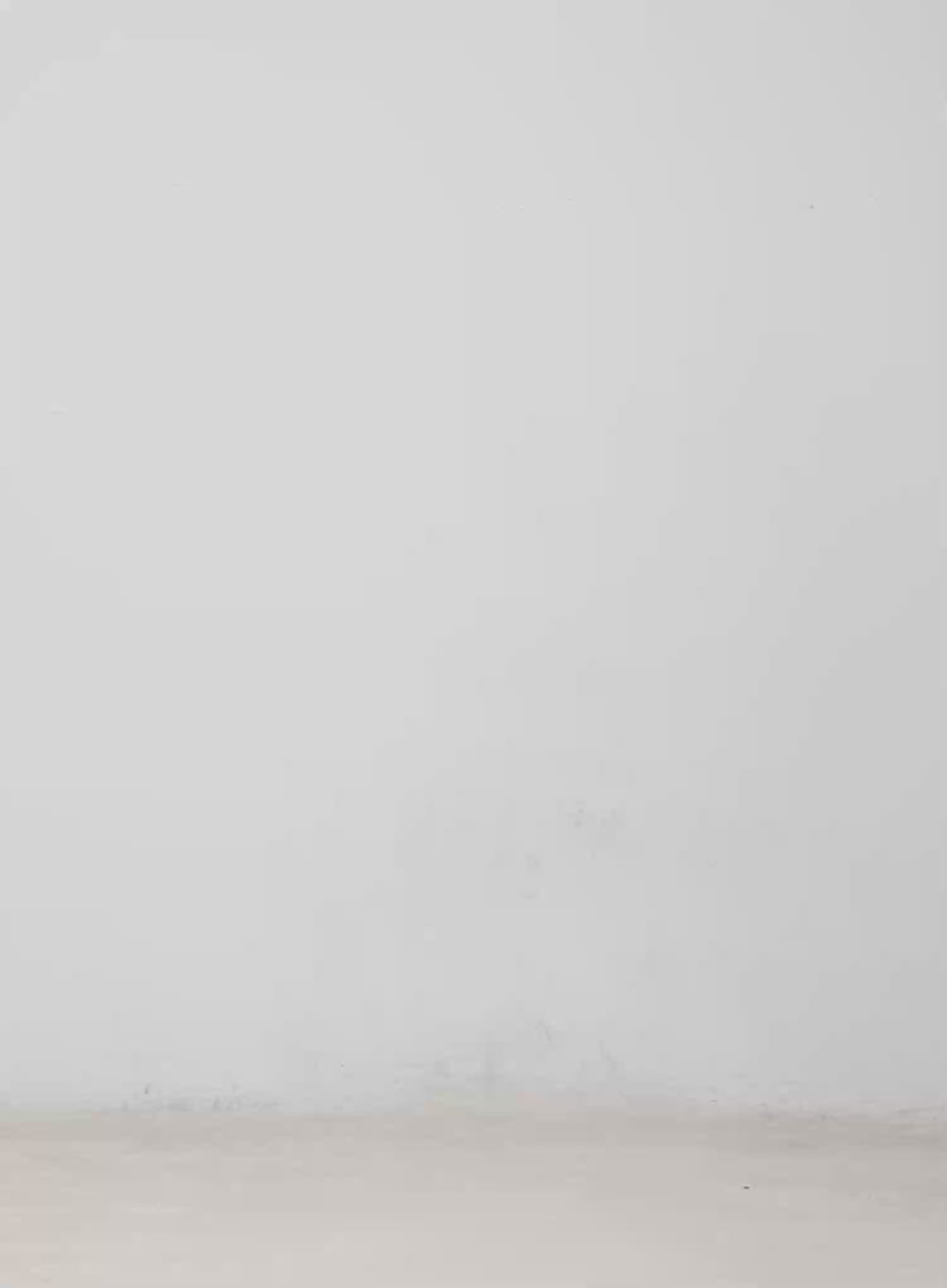 Pleated Balloon Mini Skirt CM513