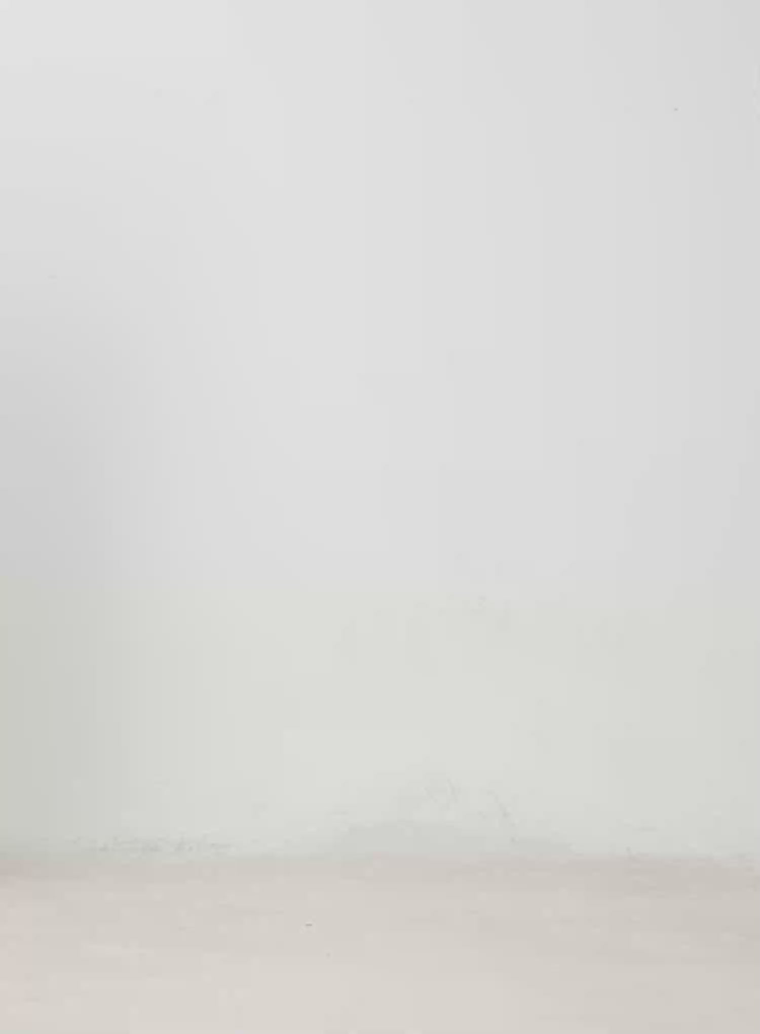 Fallon Classic Wide Leg Jeans IM519