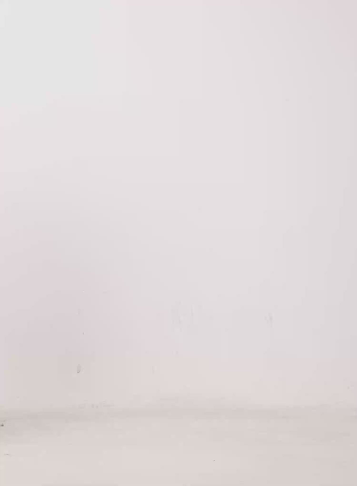 Akira Wide Leg Jeans IJ508