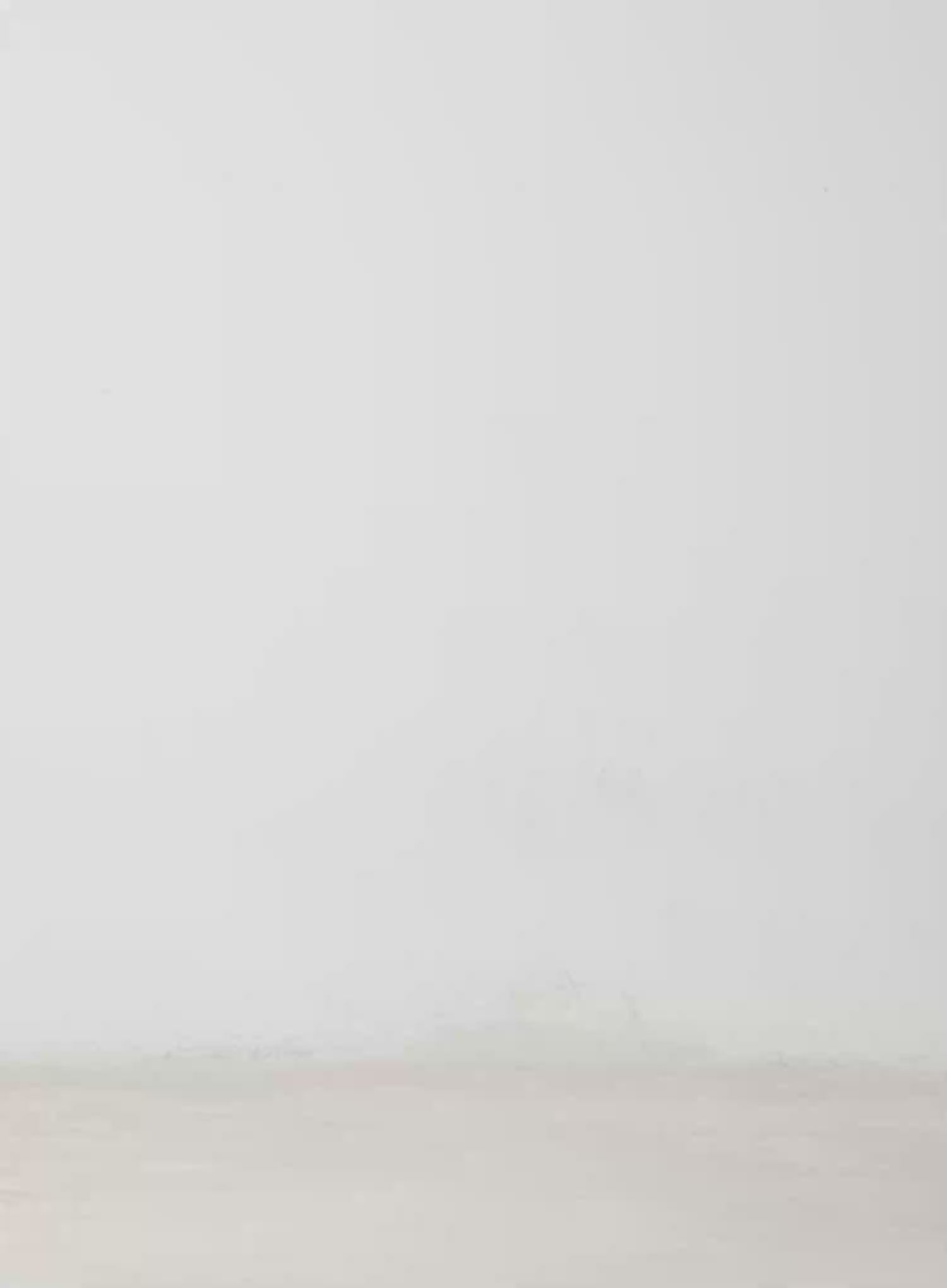 Naeu Dark Washed Wide Jeans IM509