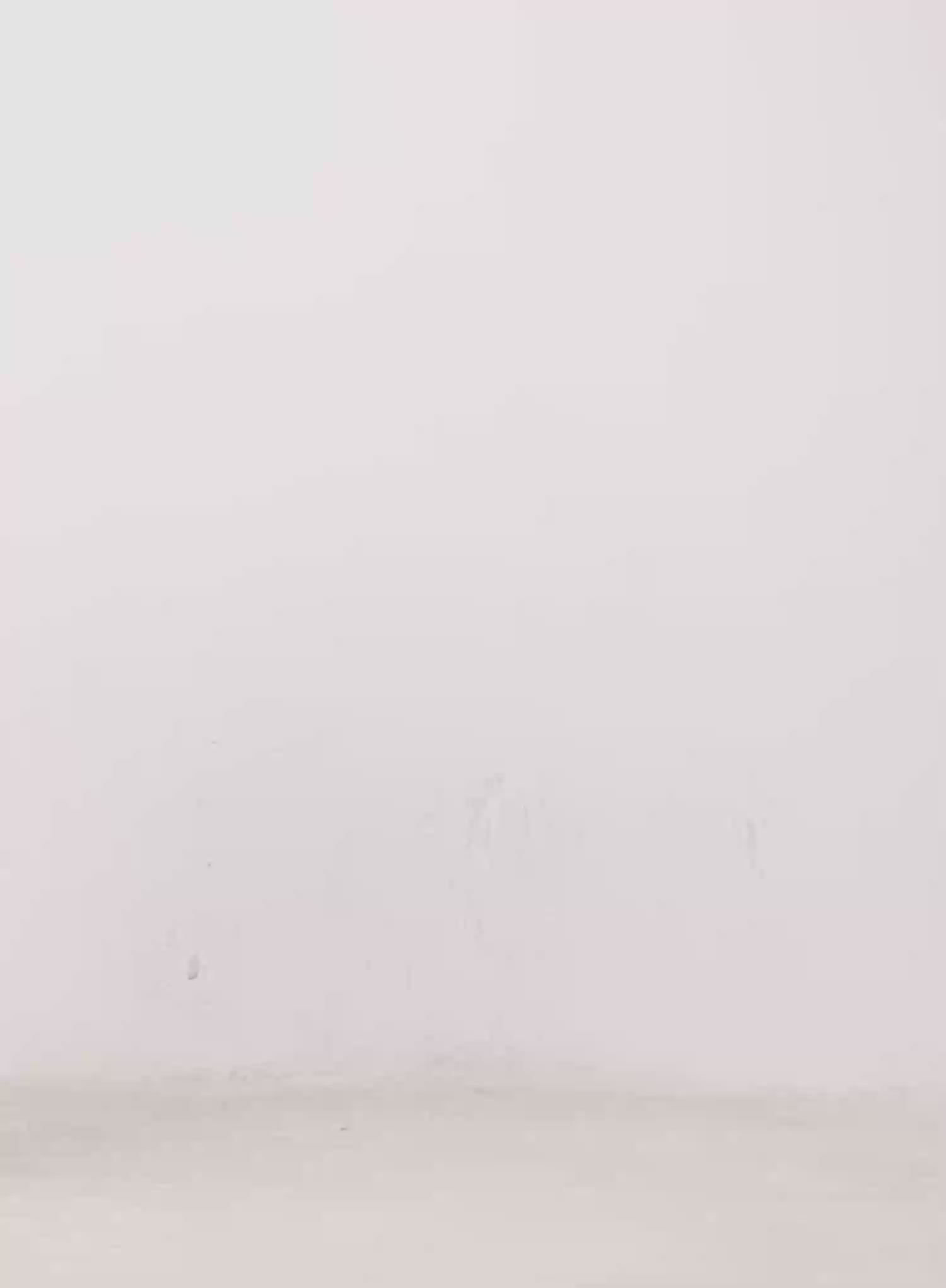 Striped Round Neck Knit Sweater CO524