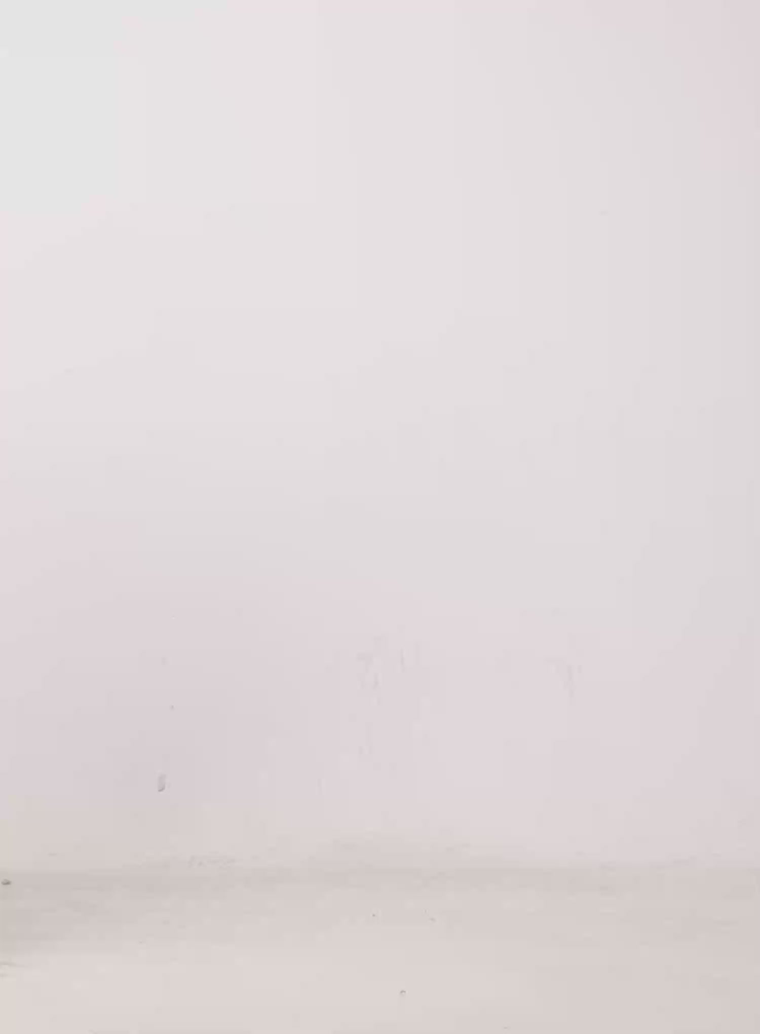 Wide Leg Pants IJ509