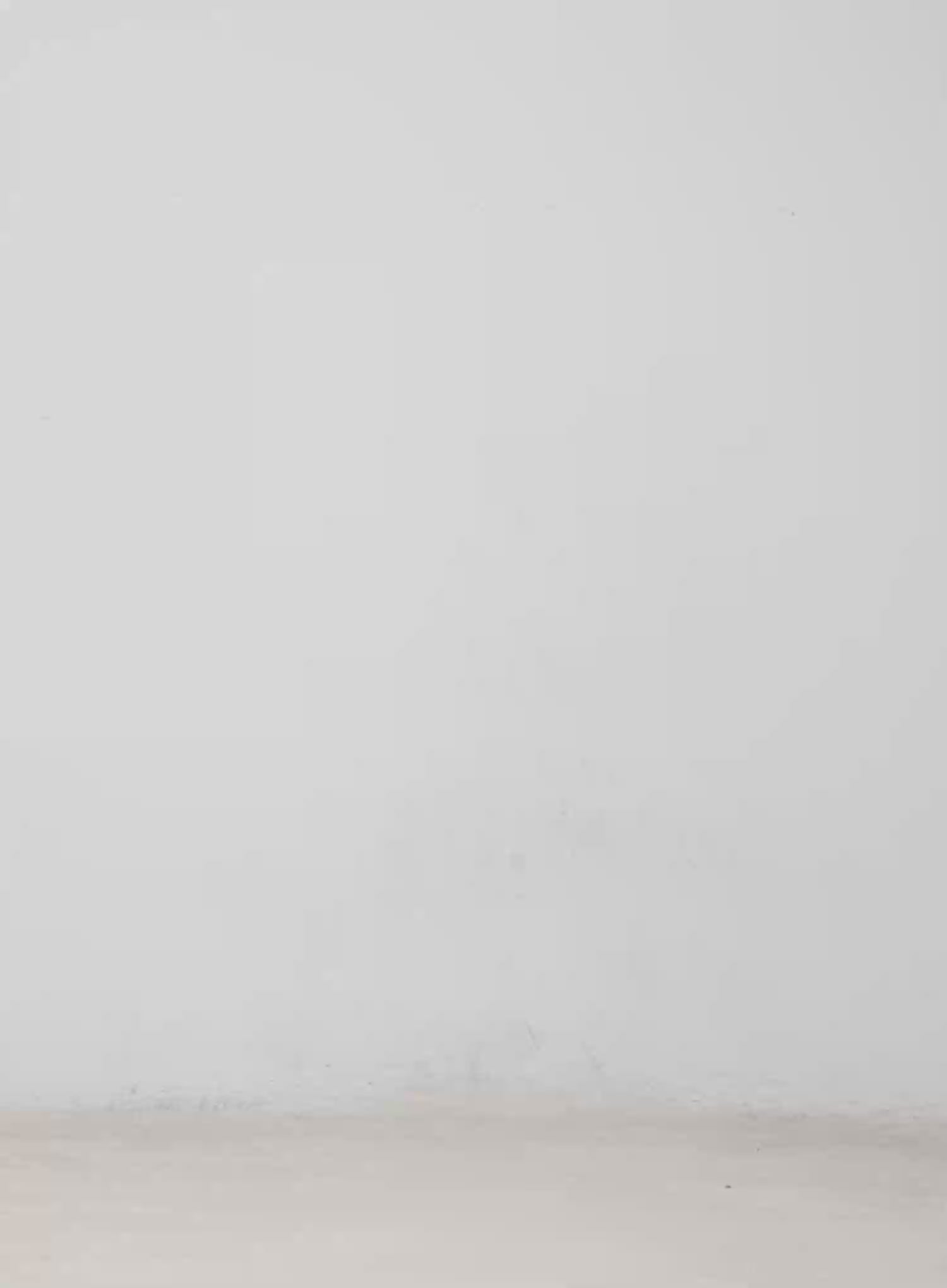 Graphic Skateboarding T-Shirt CM513