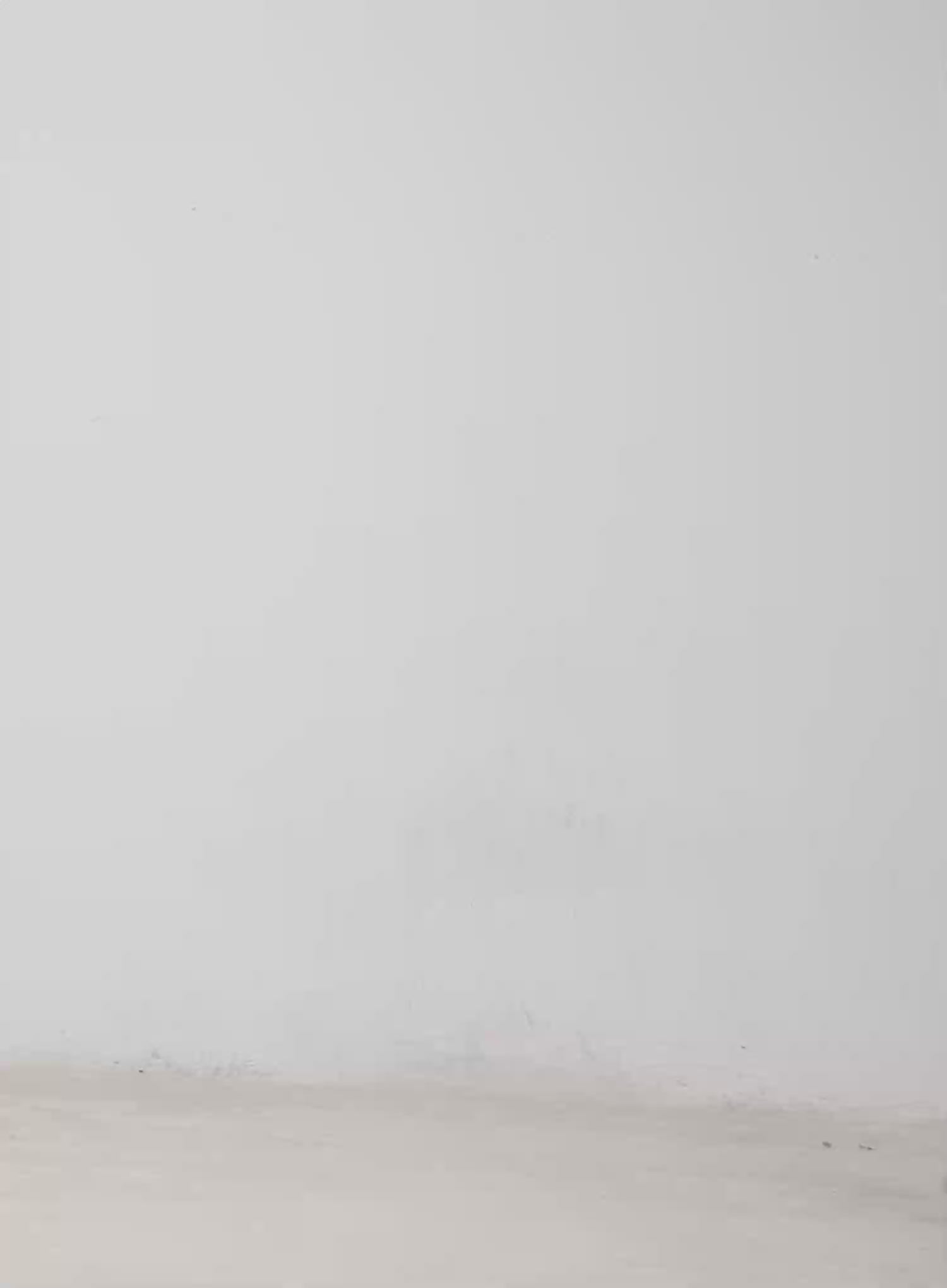 Oversized Lettering T-Shirt CA506