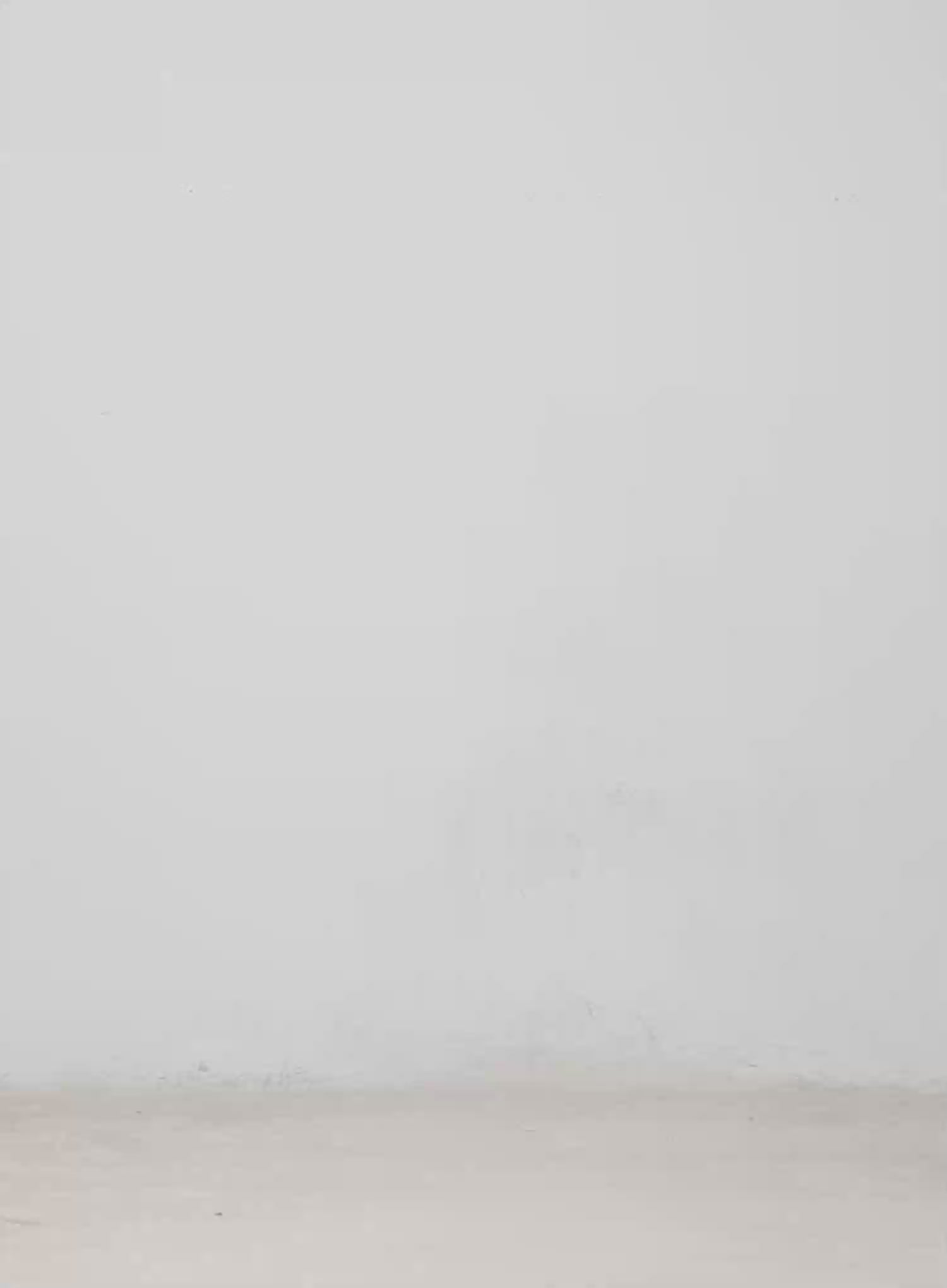 Eyelet Zip-Up Hoodie CM526