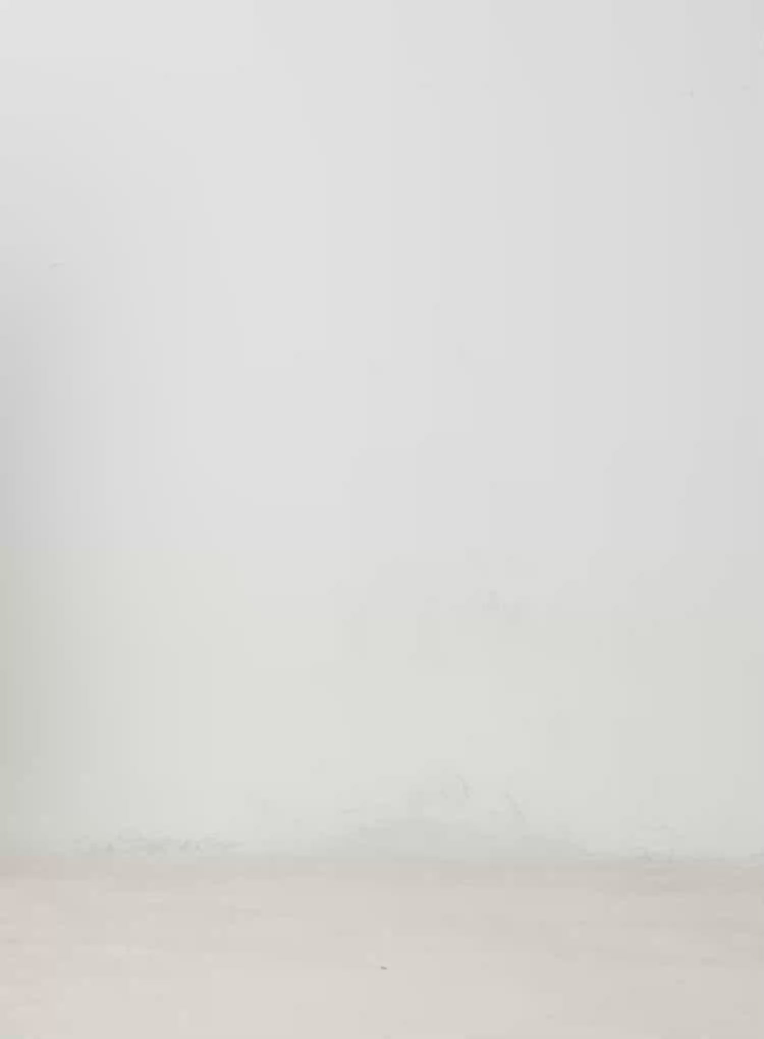 Oversized Double-Button Blazer IM519