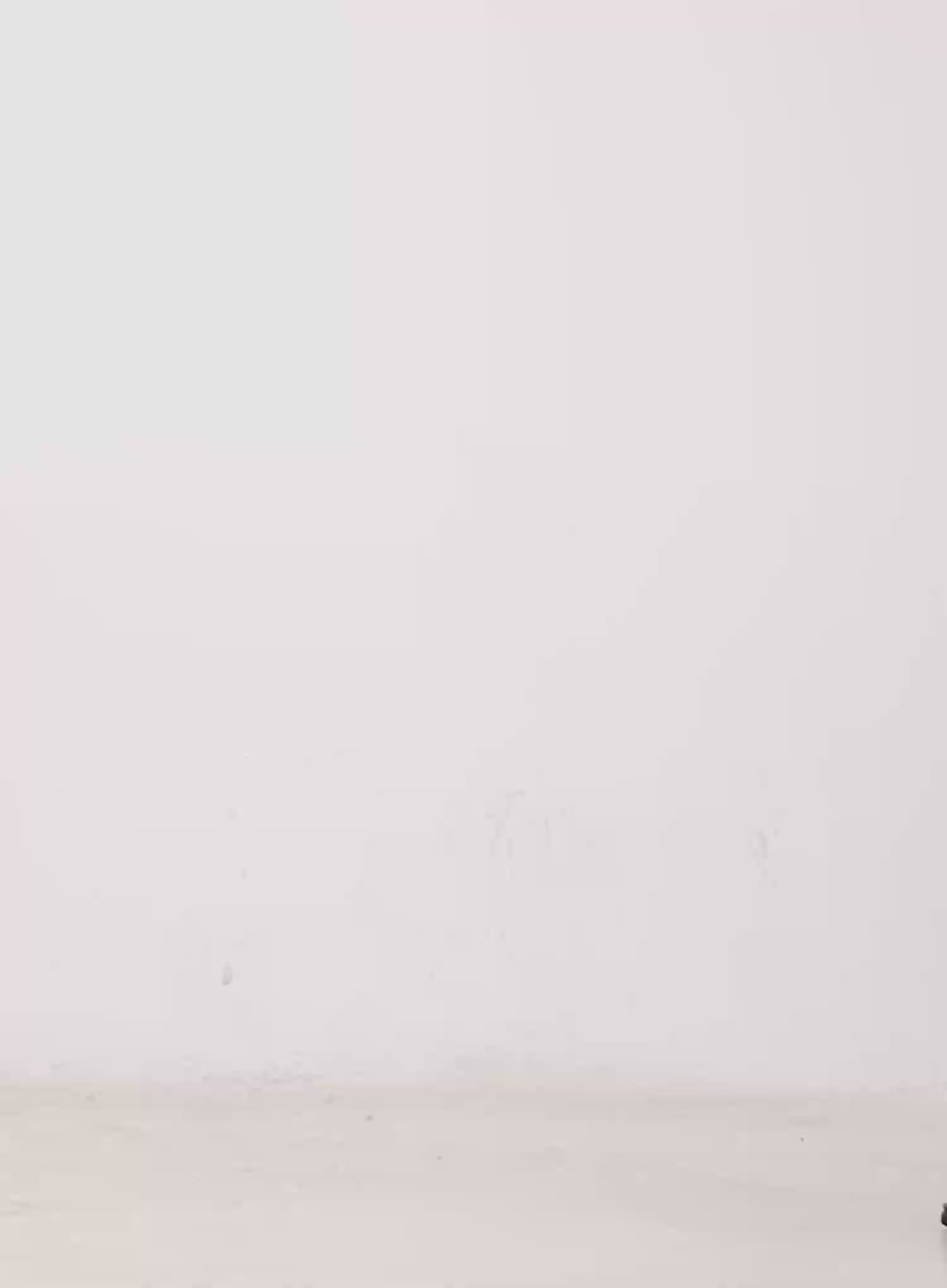 Off-Shoulder Sheer Long Sleeve Top CO529