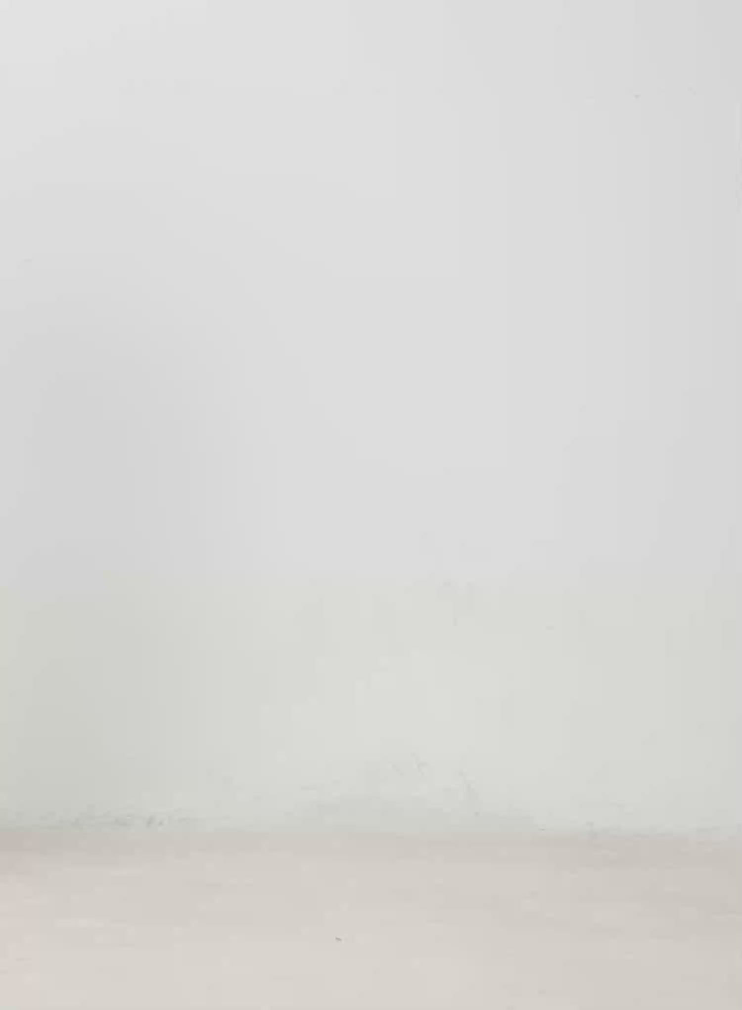 Sheer Polka Dot Long Sleeve Top IM519