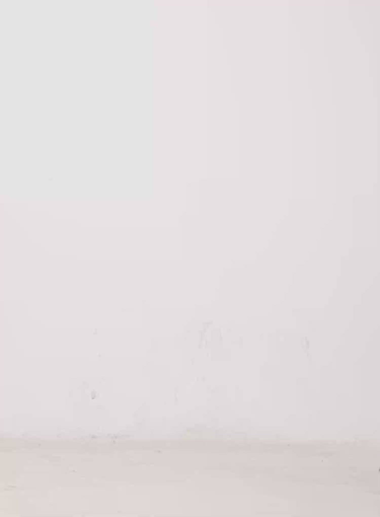 Asymmetric Strap Long Sleeve Top CO529