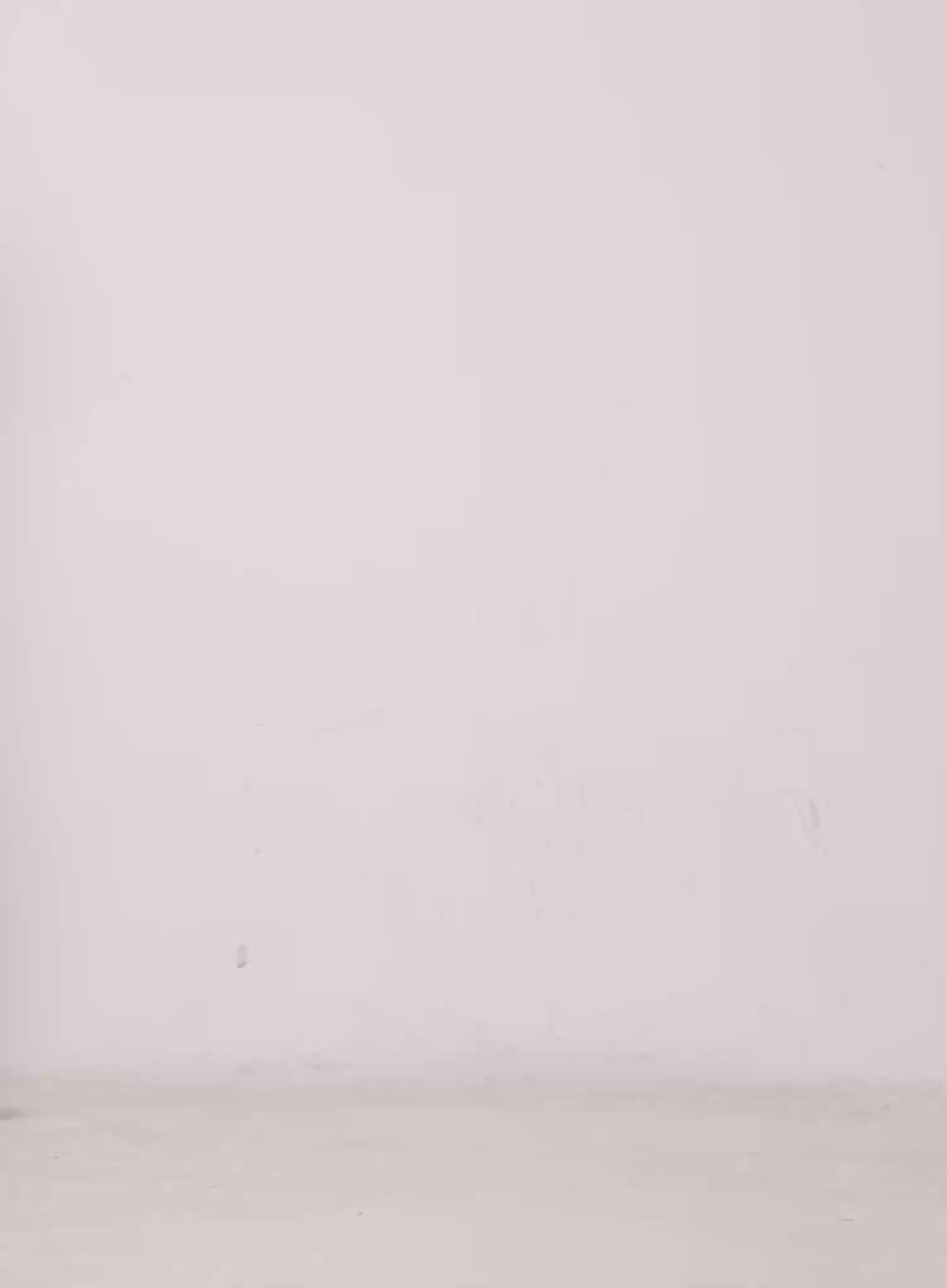 U-Neck Crop Long Sleeve Top CG529