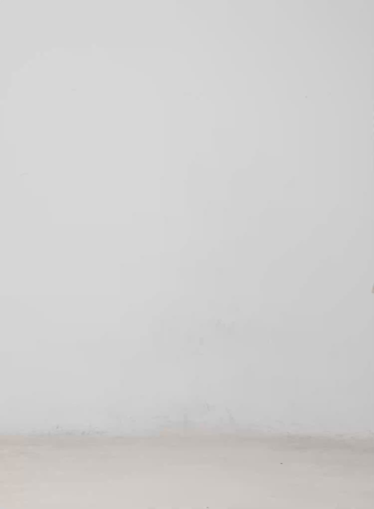 Alizah Vintage Wash Wide-Leg Jeans CM512