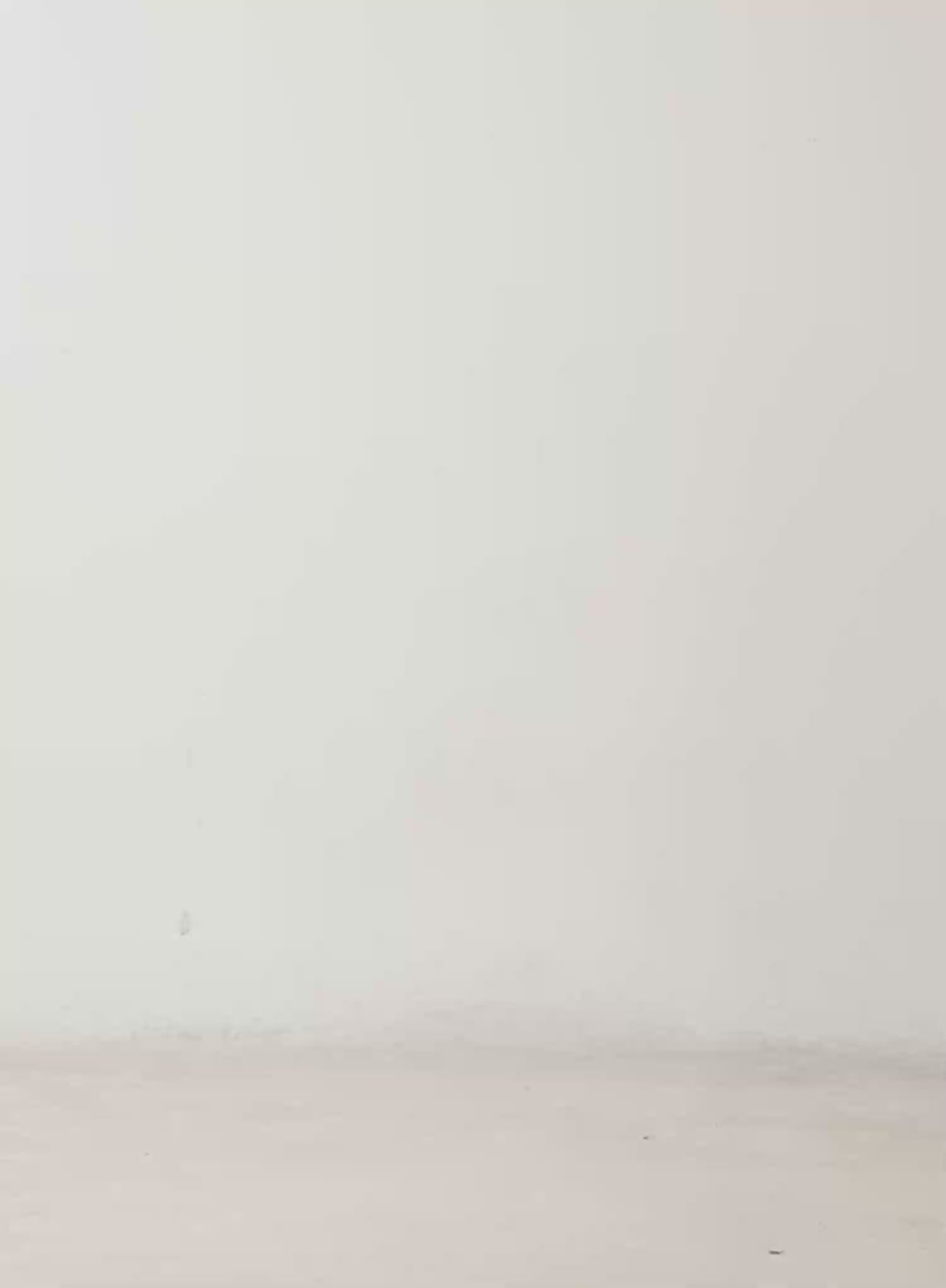 Cozy Off-Shoulder Long Sleeve Knit Top CD517