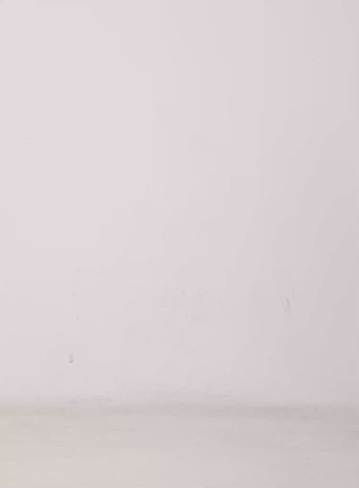 Lala Wide Leg Vintage Washed Jeans CG529