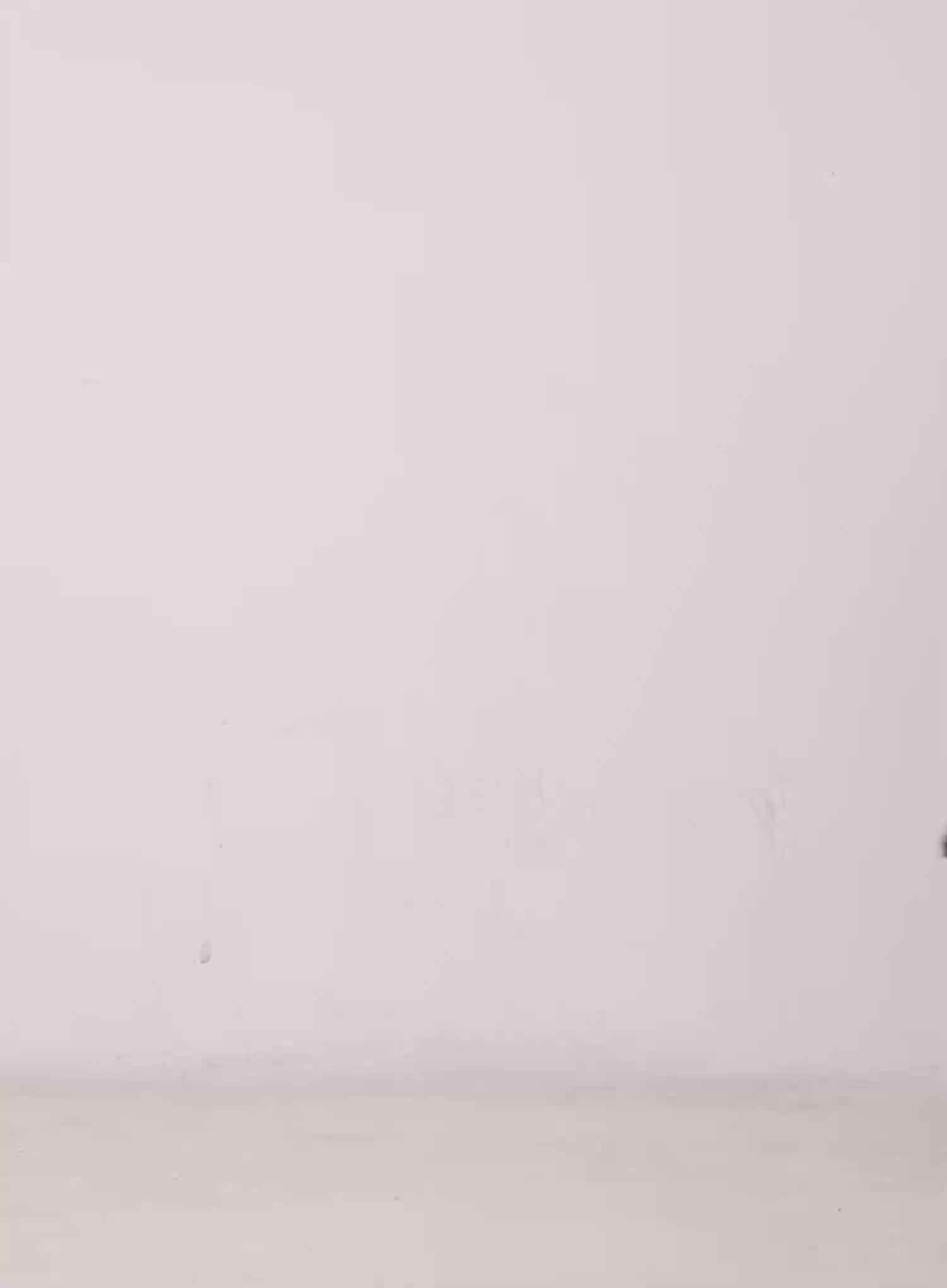 Pleated Mini Skirt with Belt Detail CG529