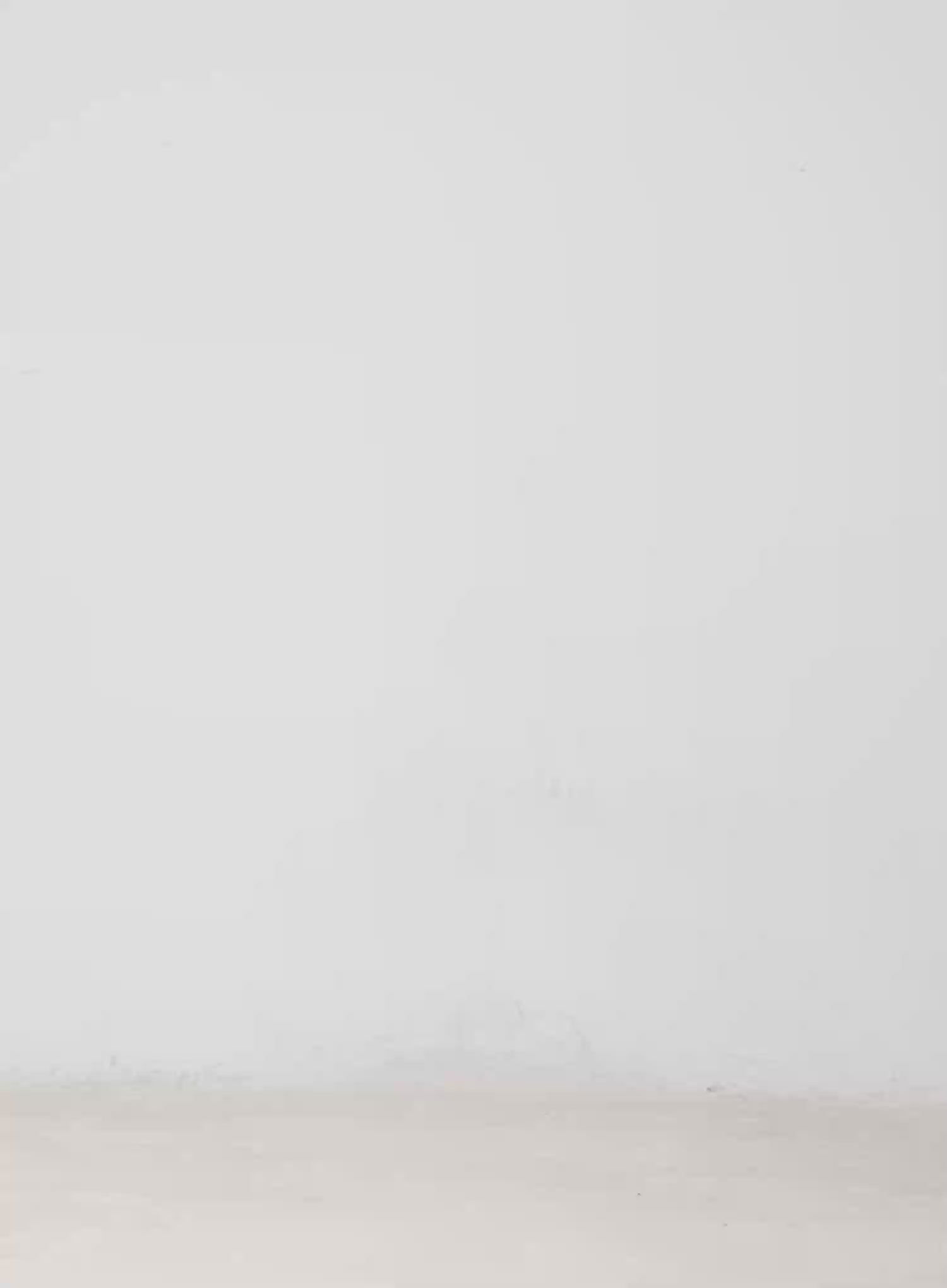 Plaid Off-Shoulder Long Sleeve Top IM523